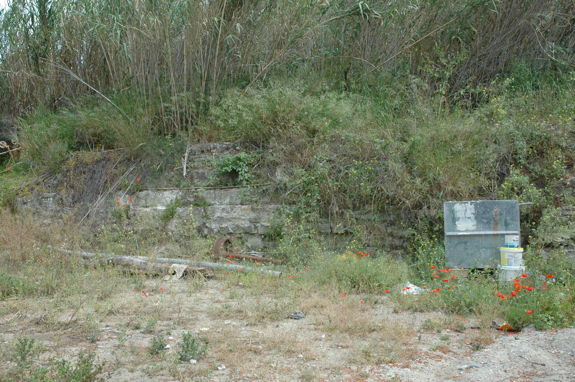 Image Description