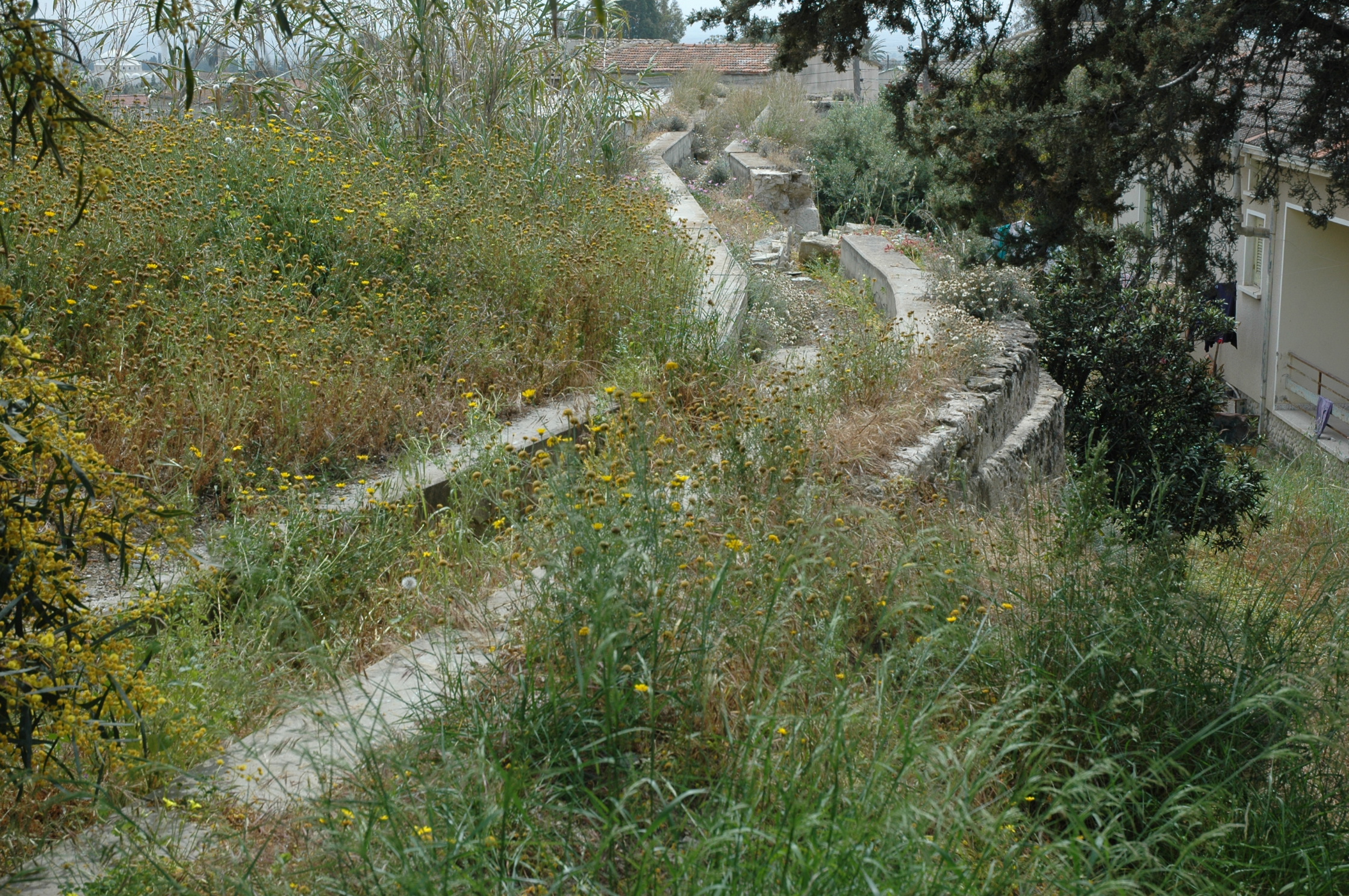 Image Description