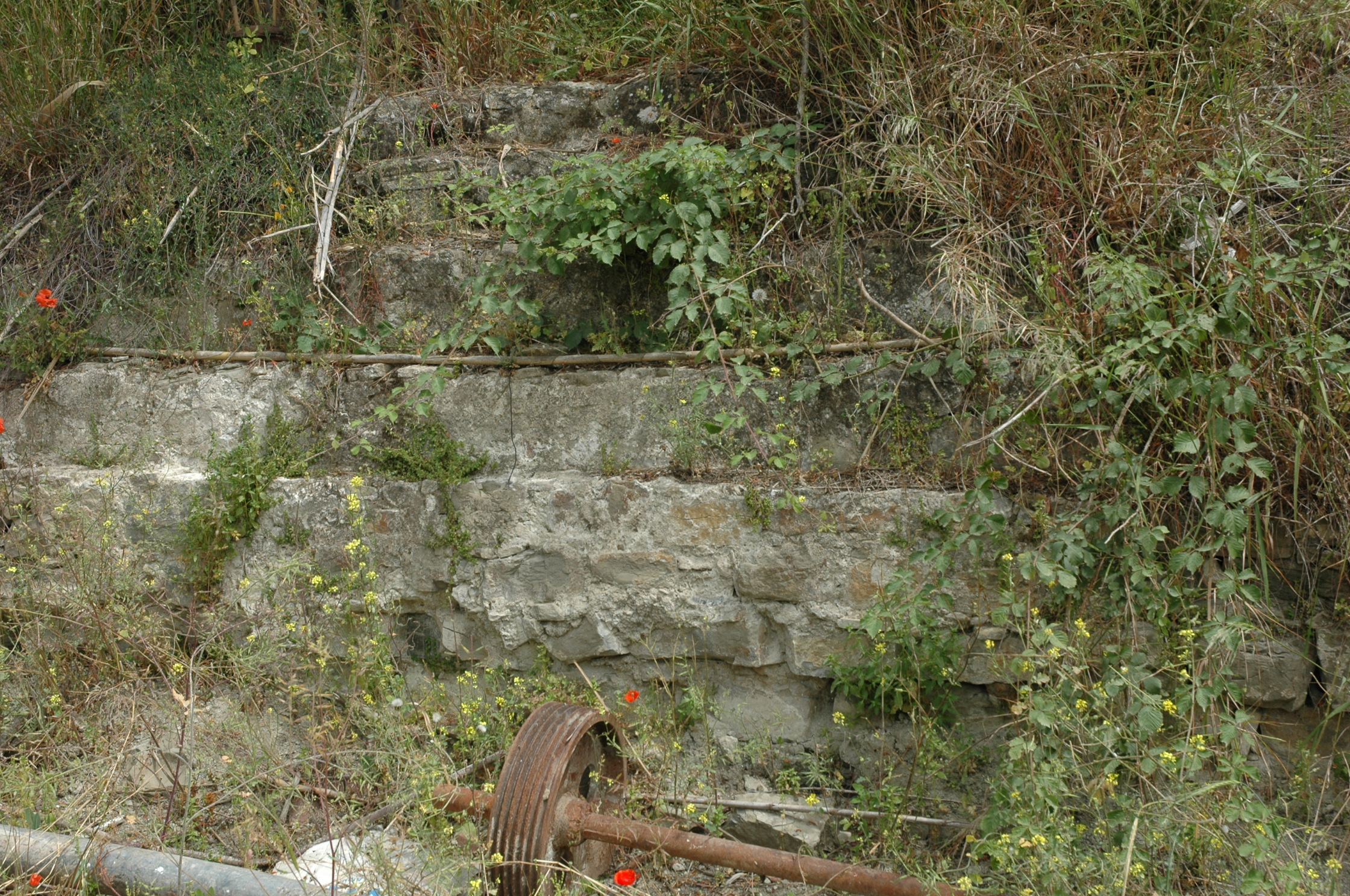 Image Description