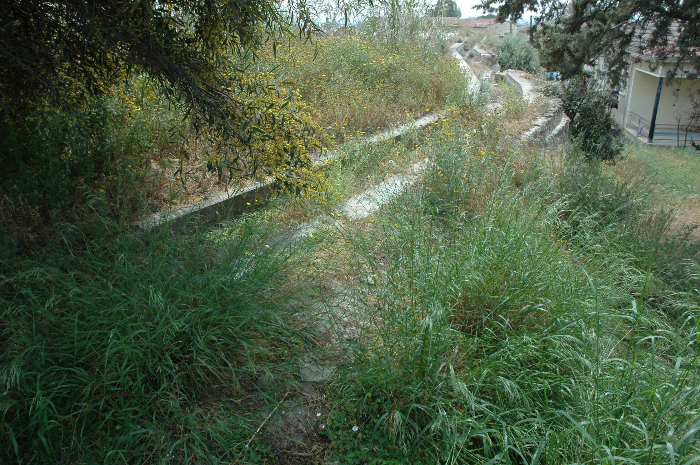 Image Description