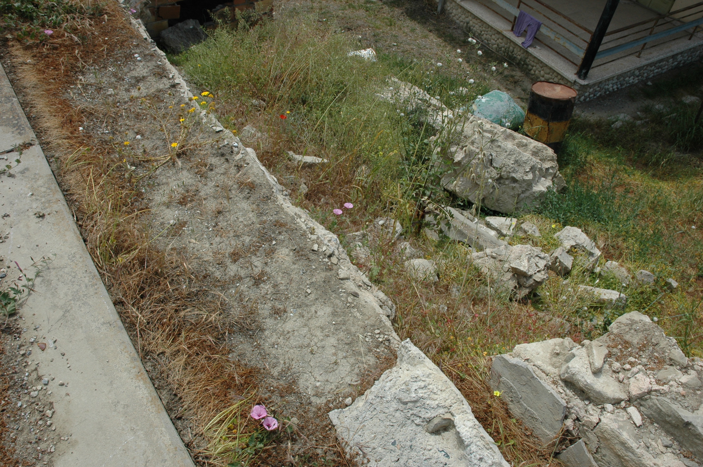 Image Description