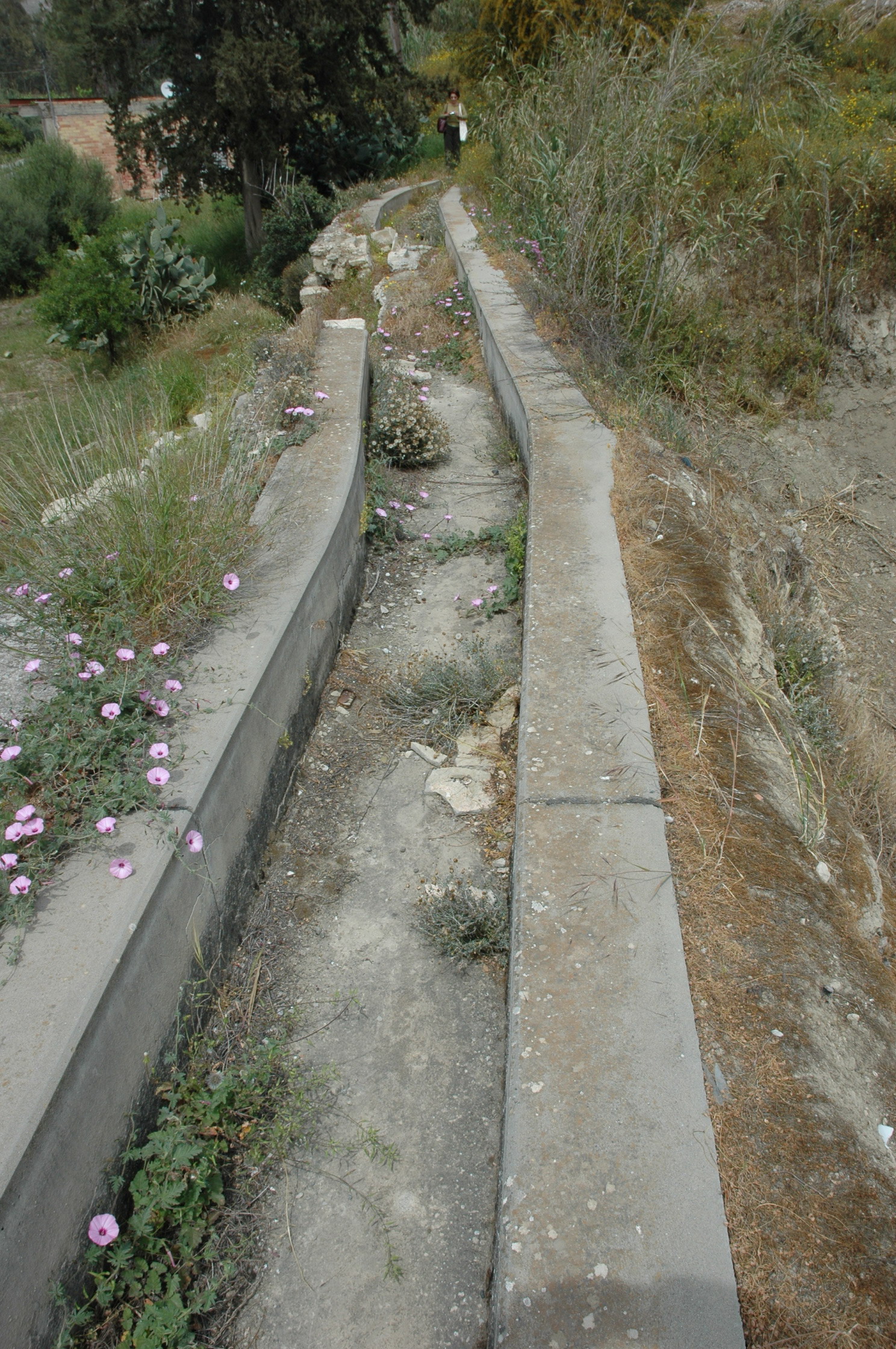 Image Description
