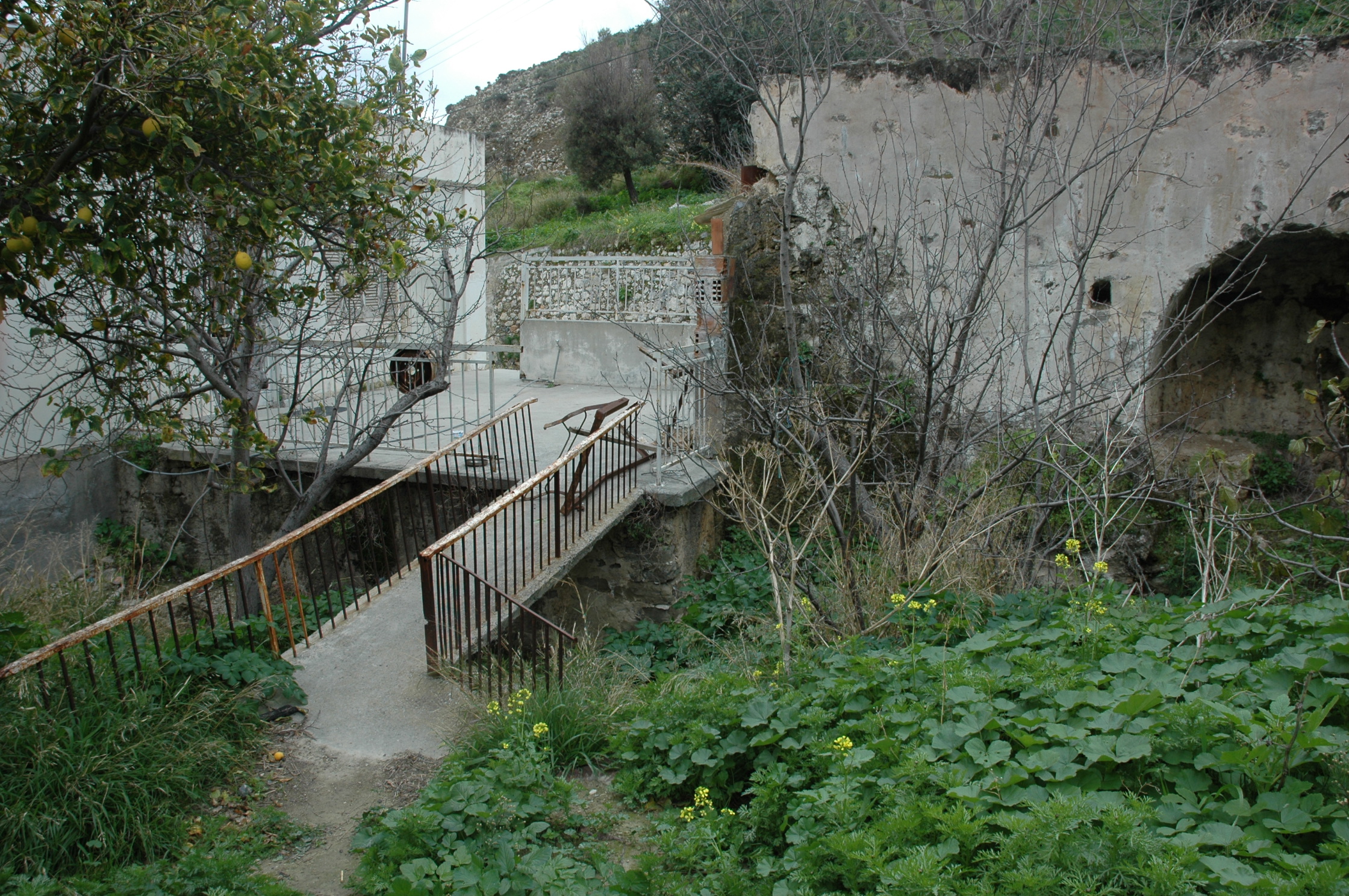 Image Description