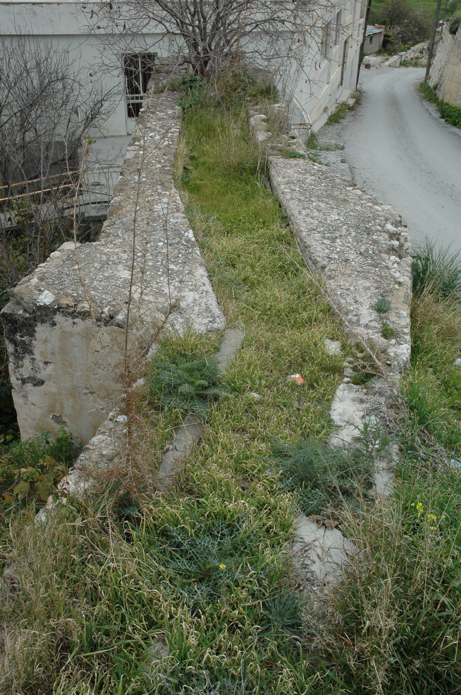 Image Description