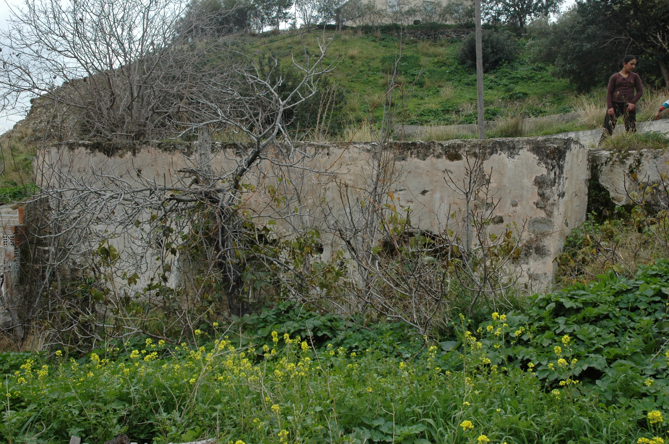 Image Description
