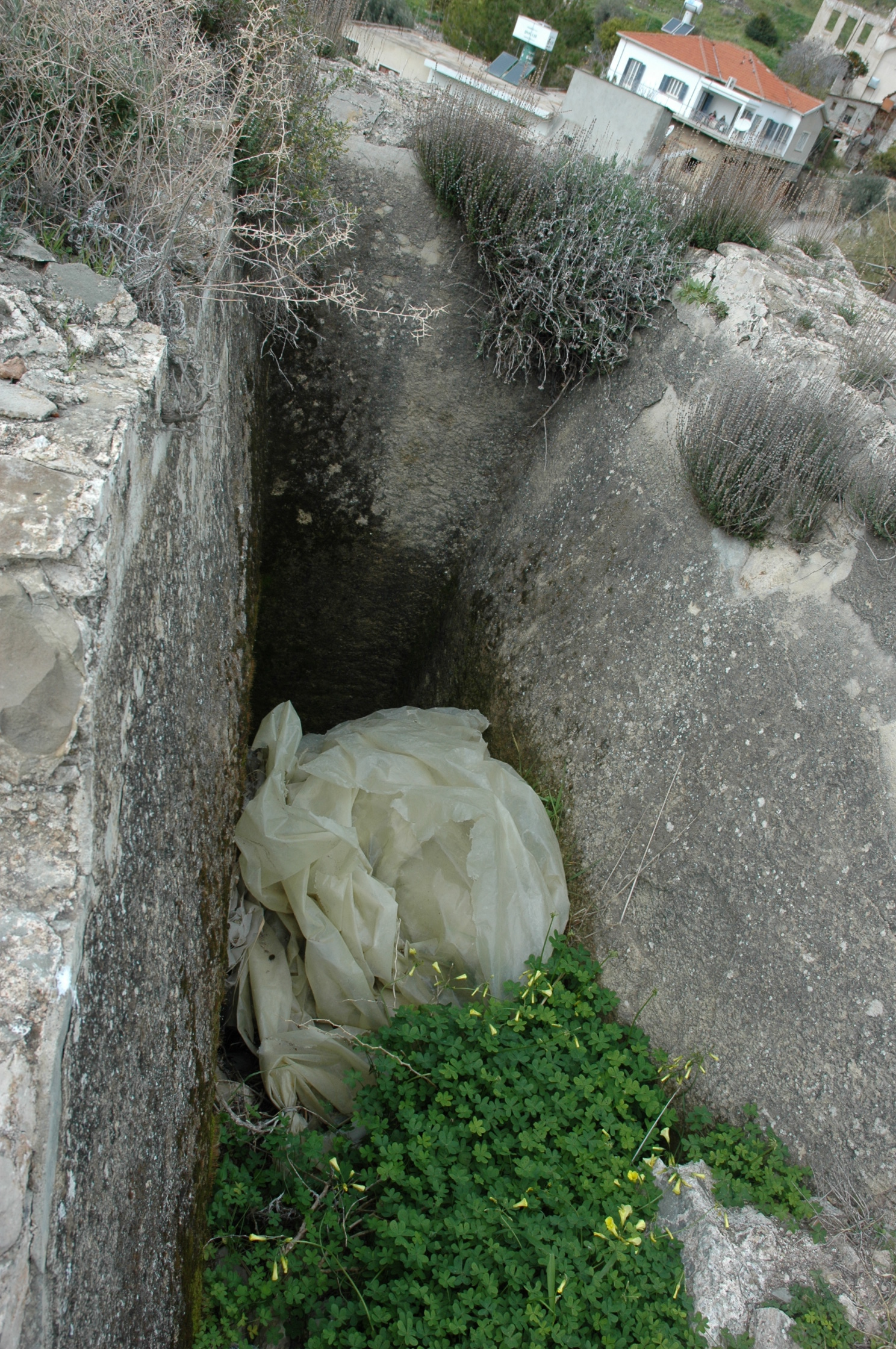 Image Description