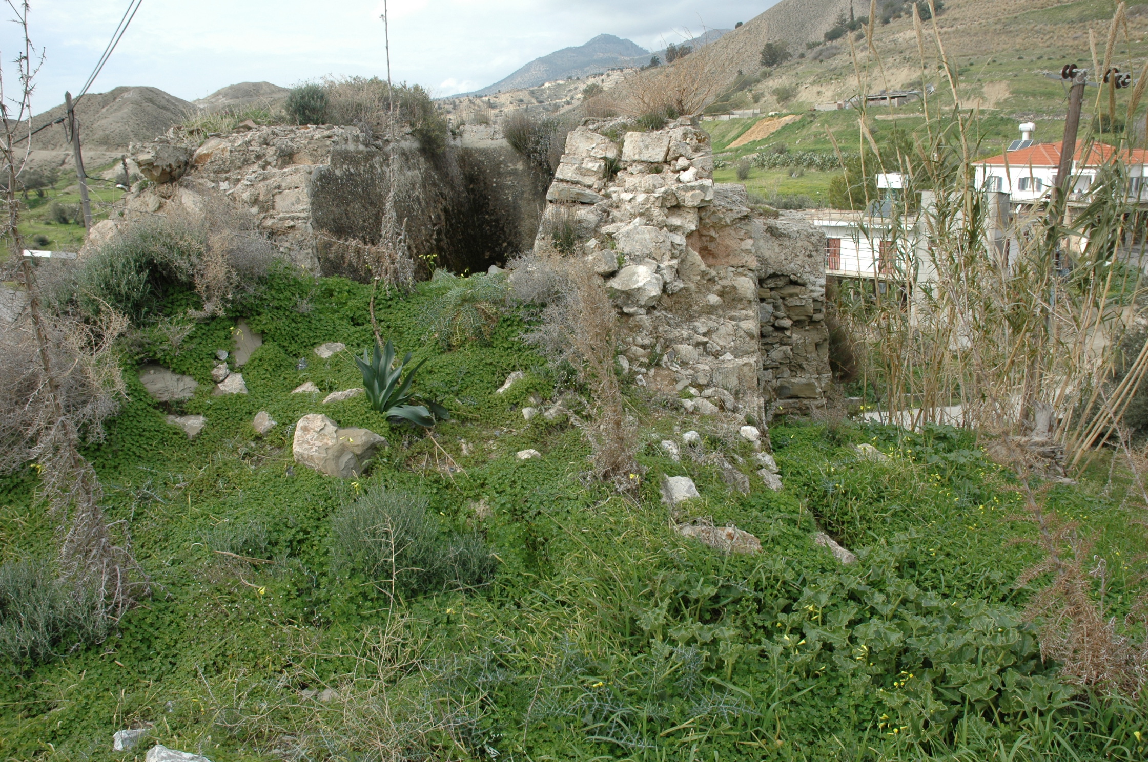 Image Description