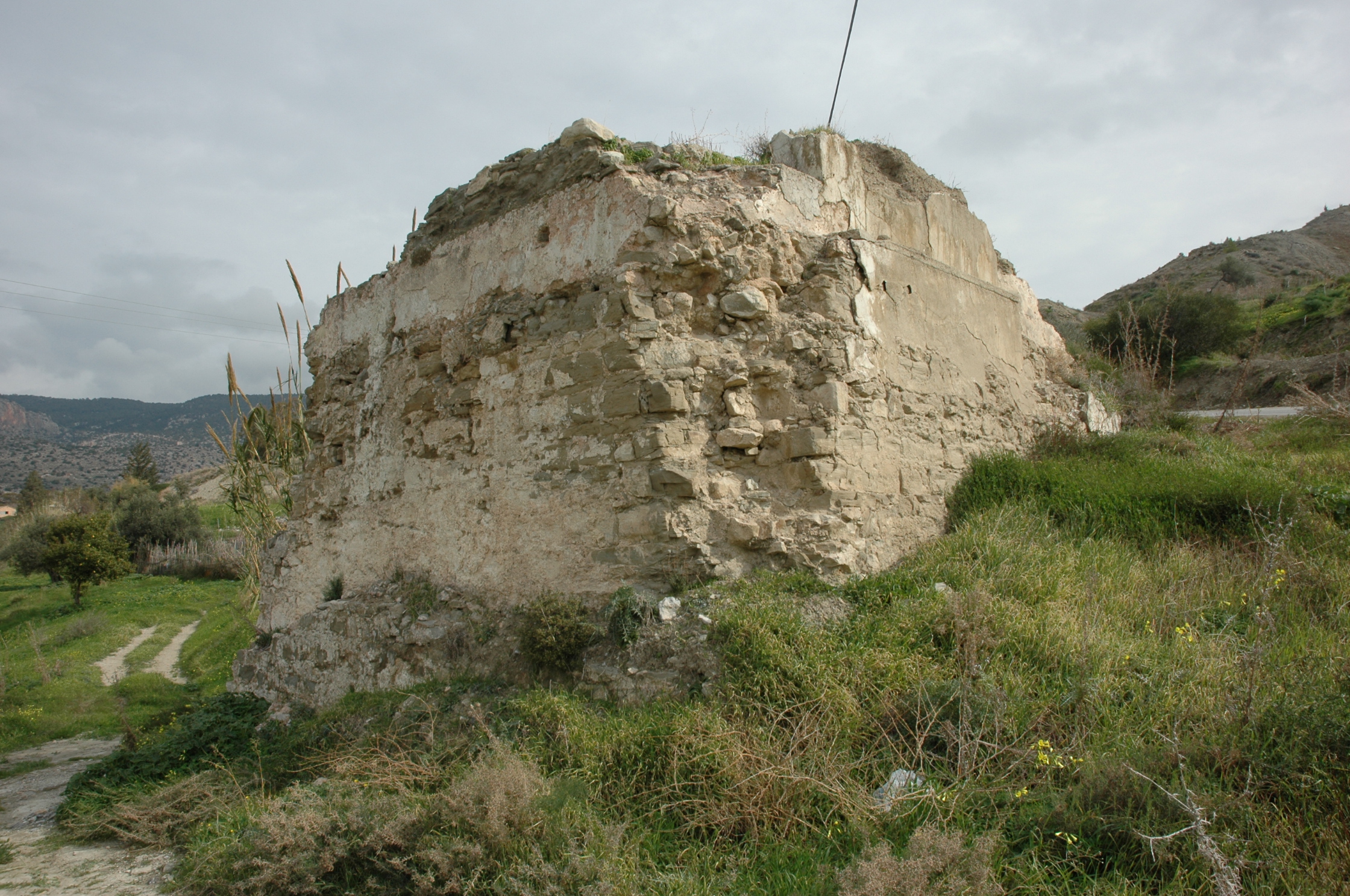 Image Description