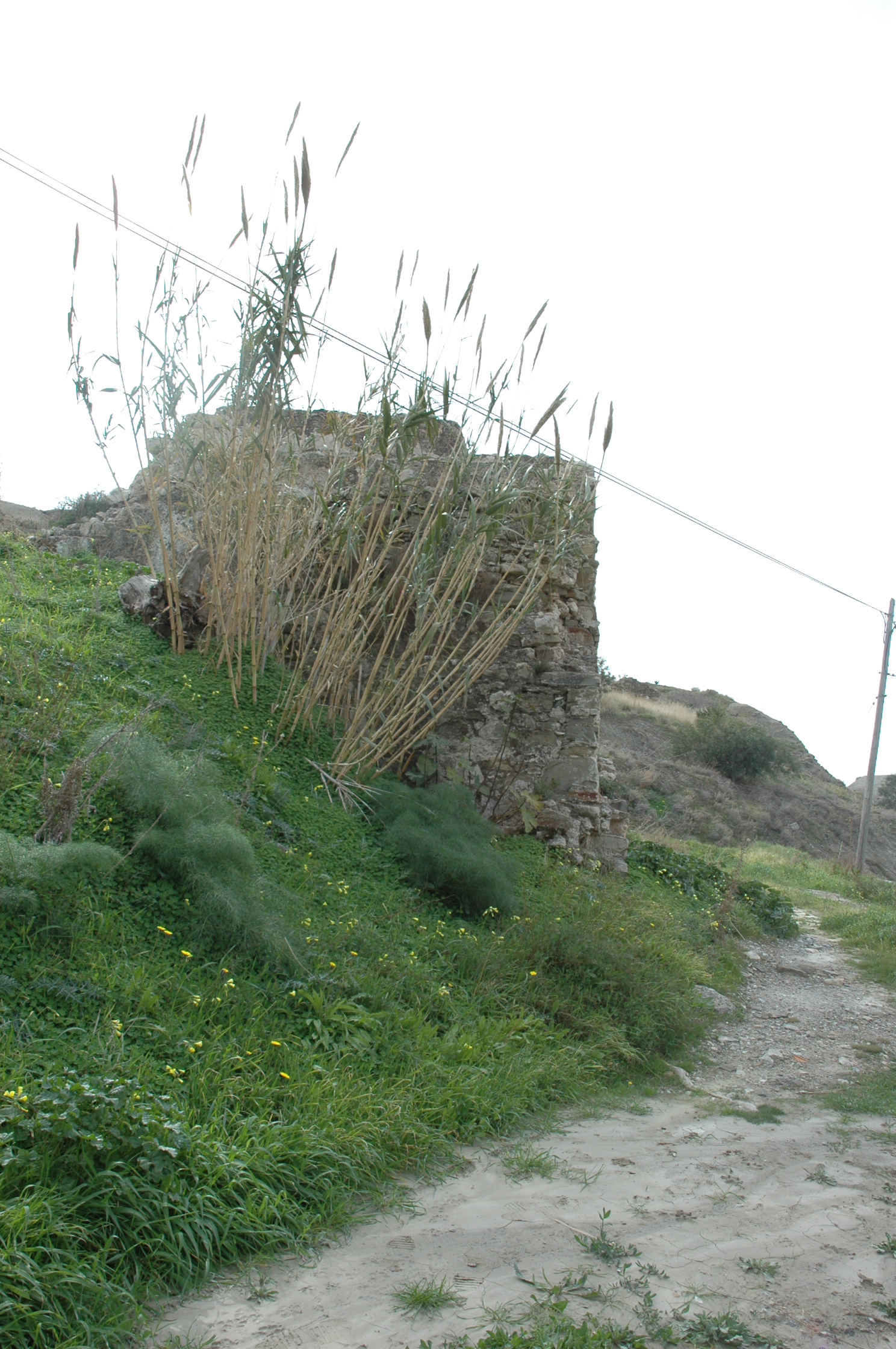 Image Description