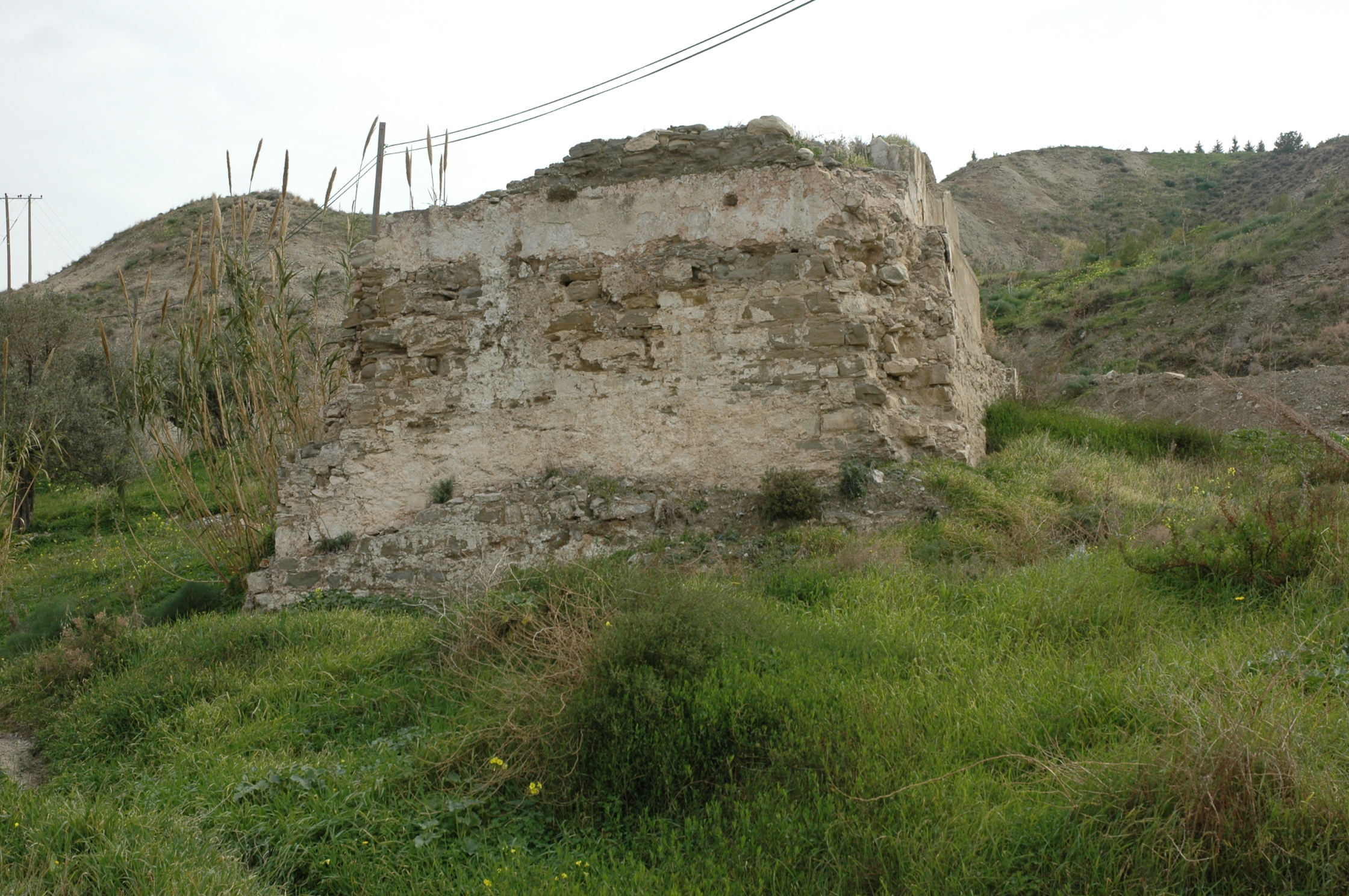 Image Description