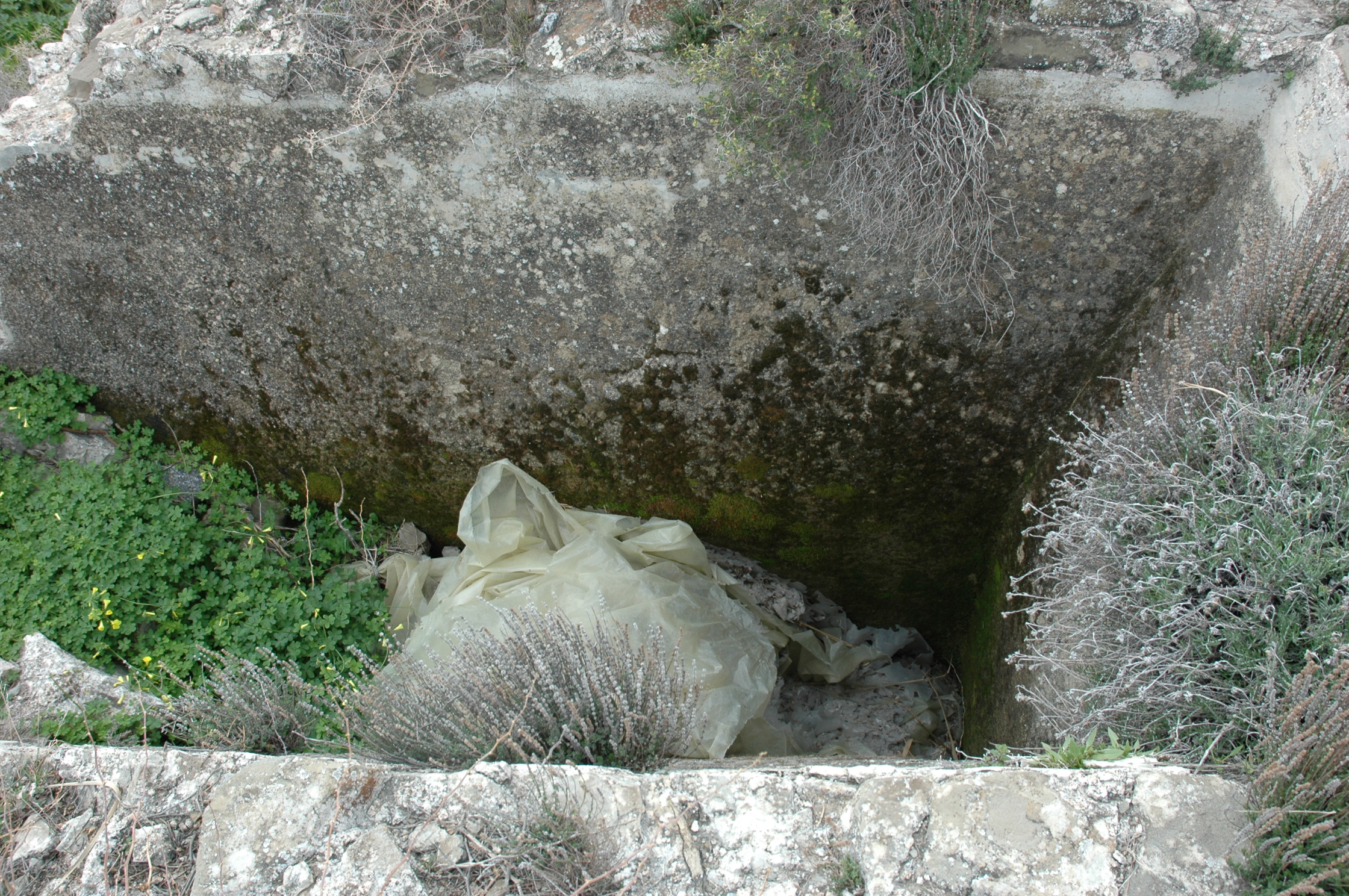 Image Description