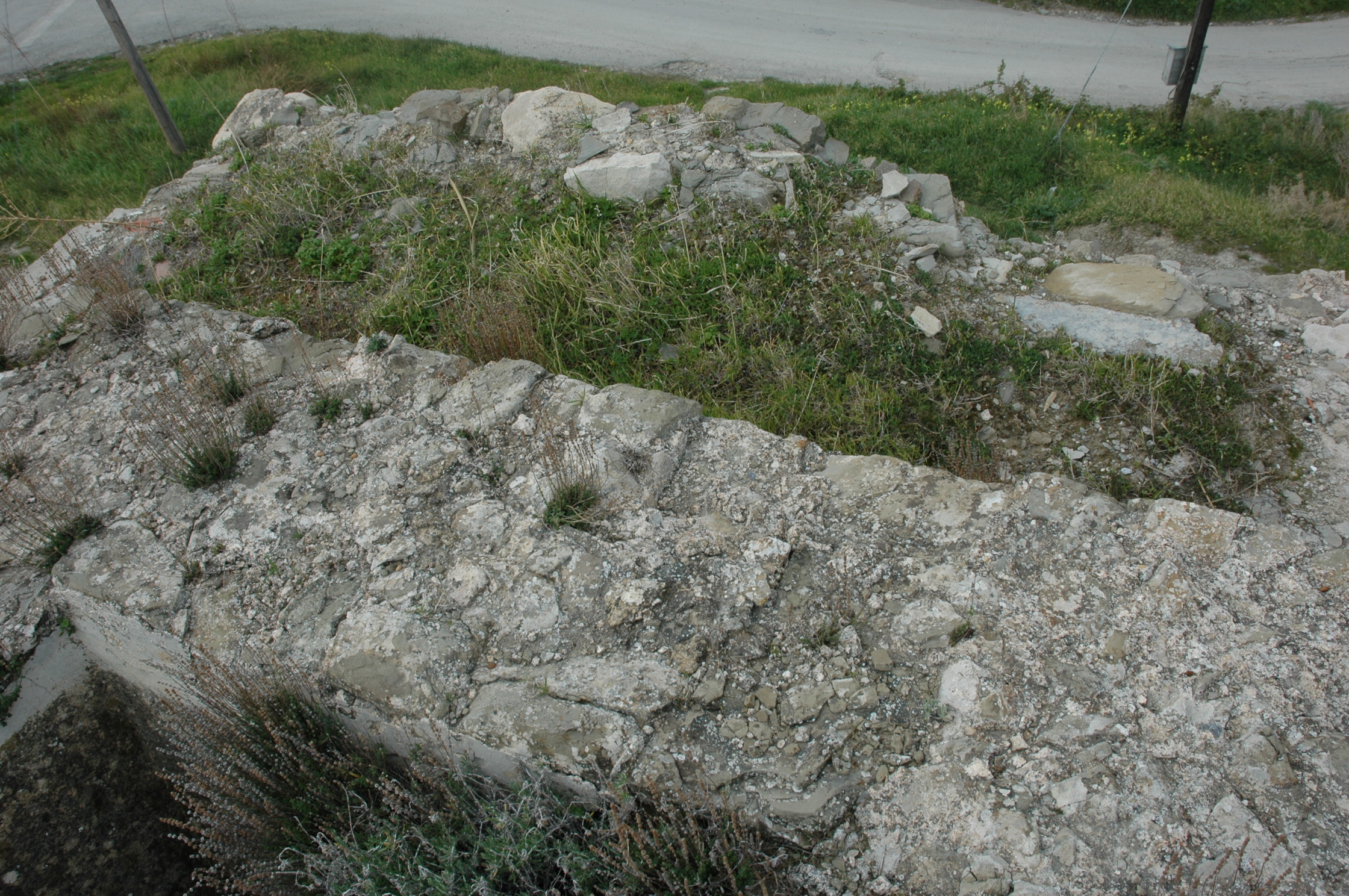 Image Description