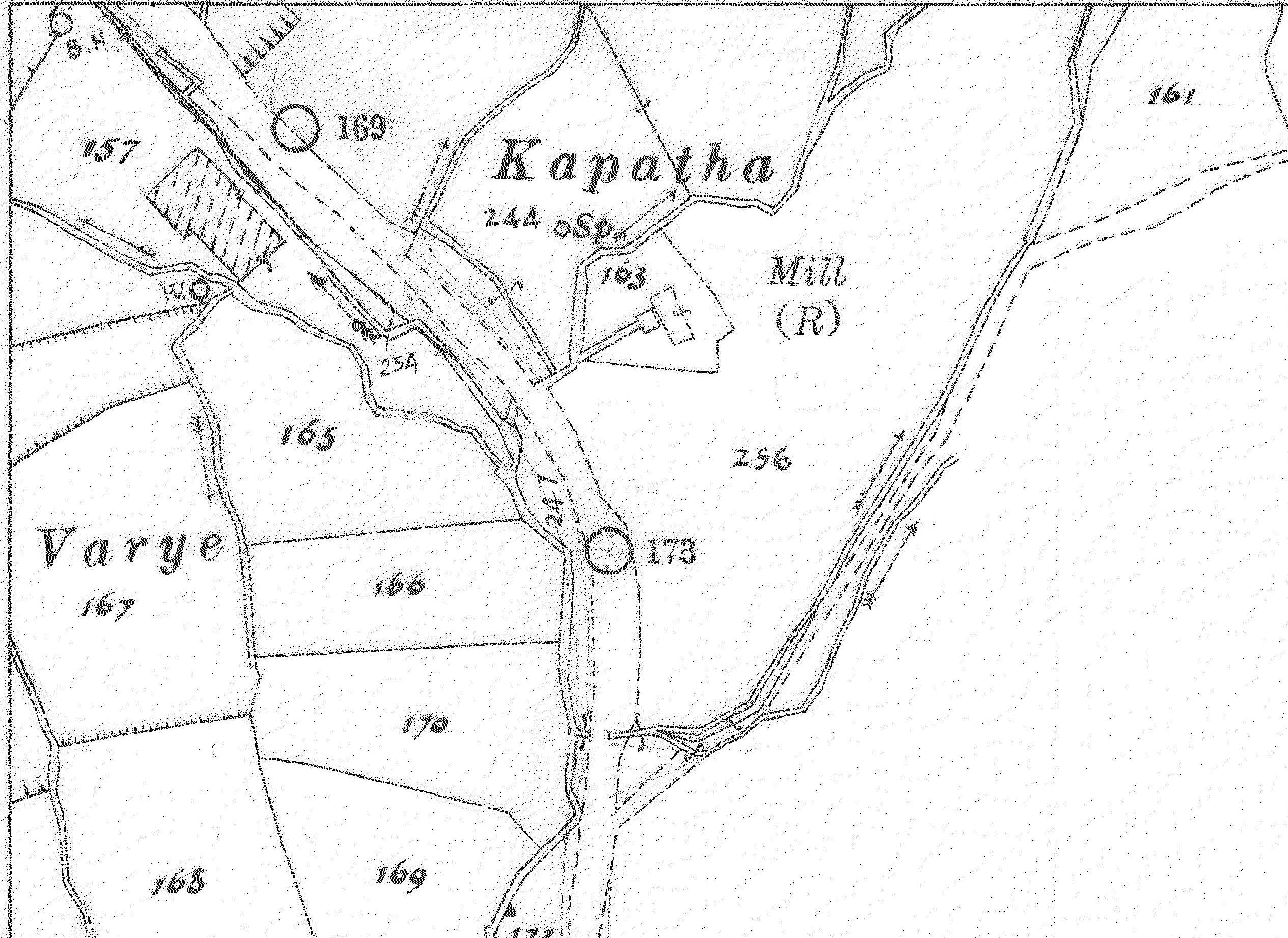 Image Description