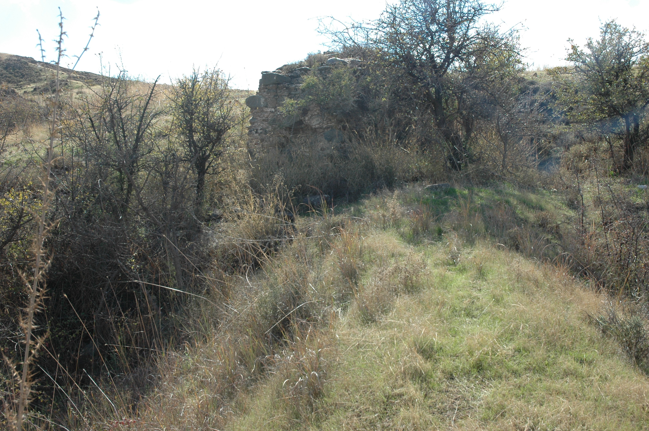 Image Description