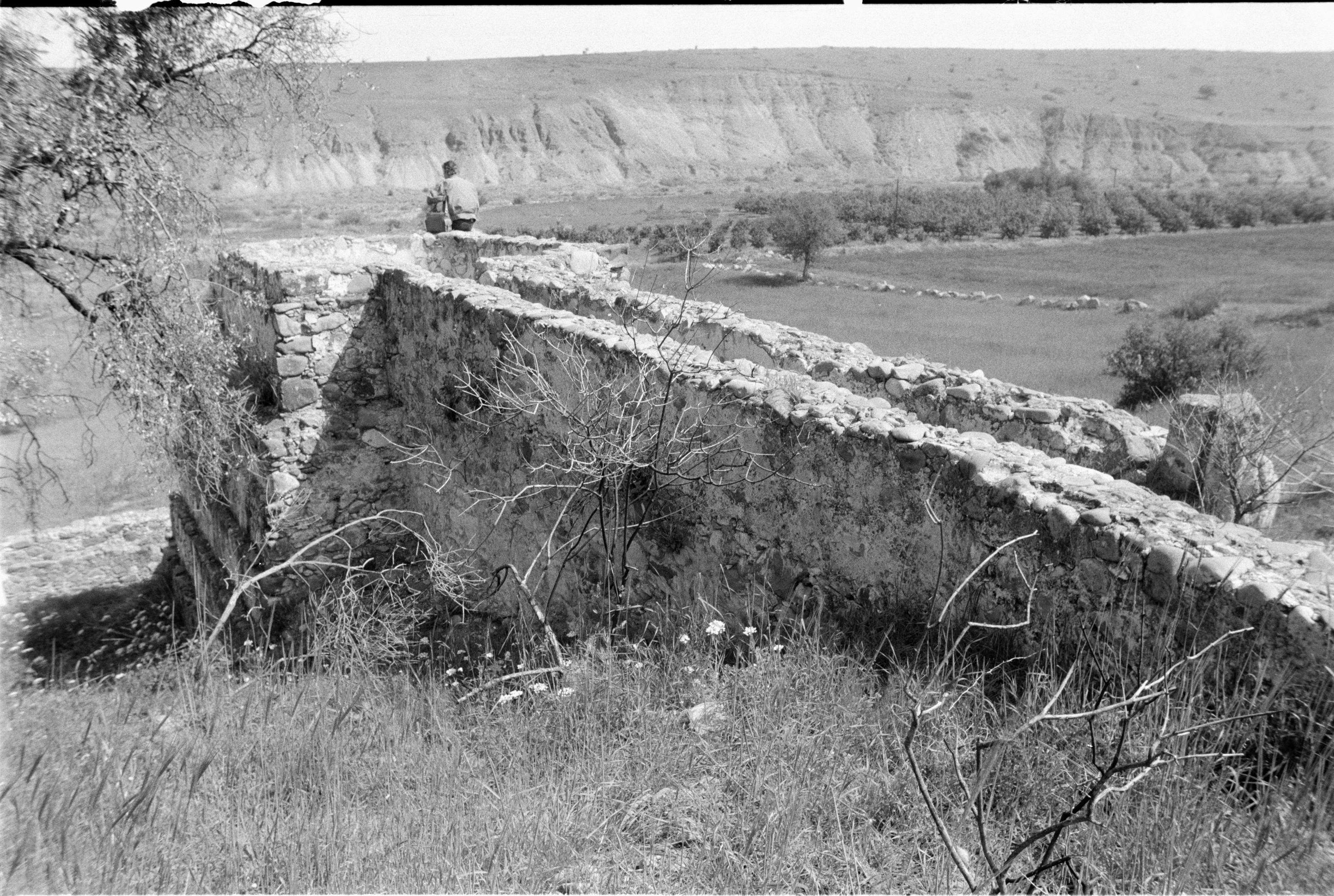 Image Description