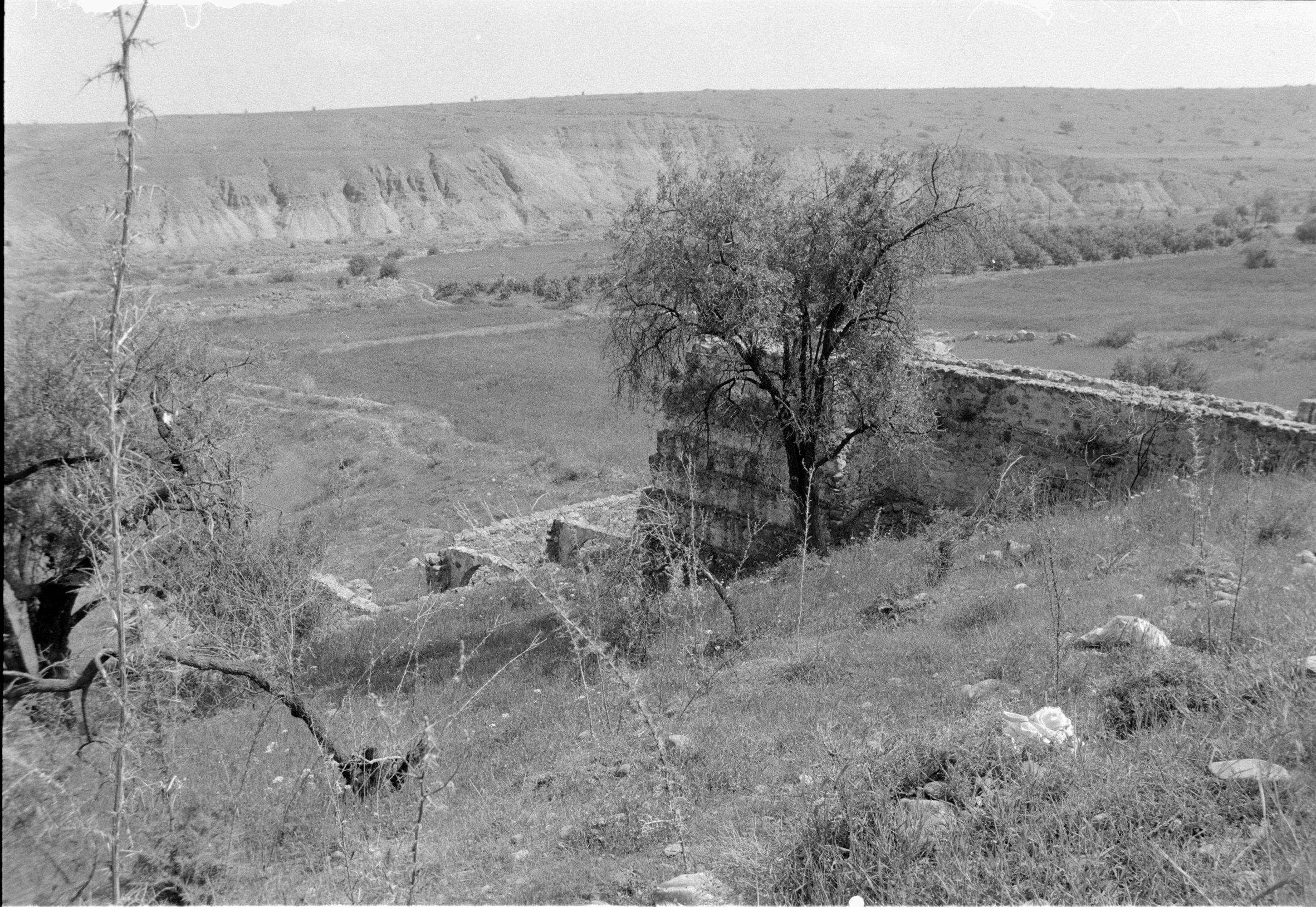 Image Description