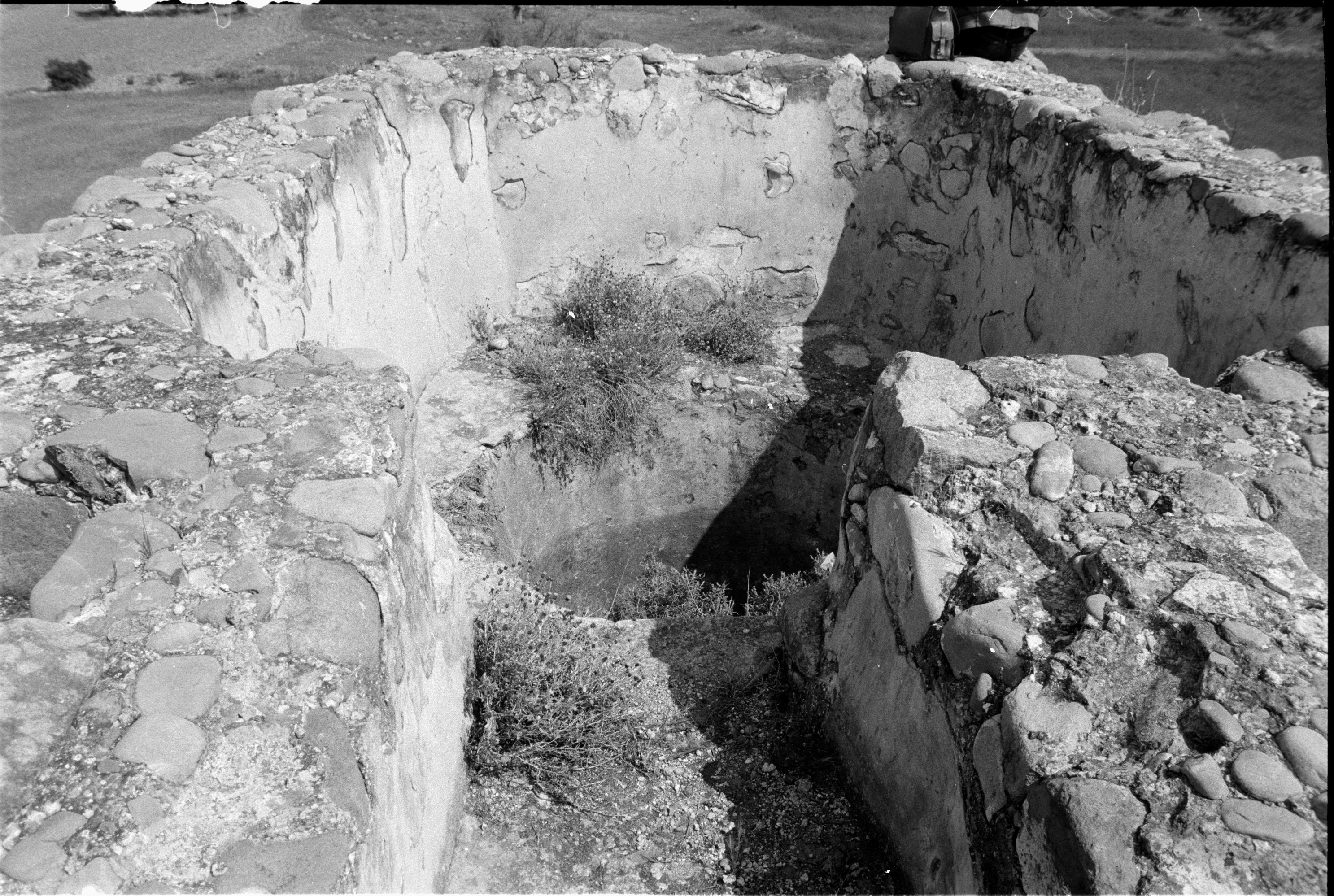 Image Description