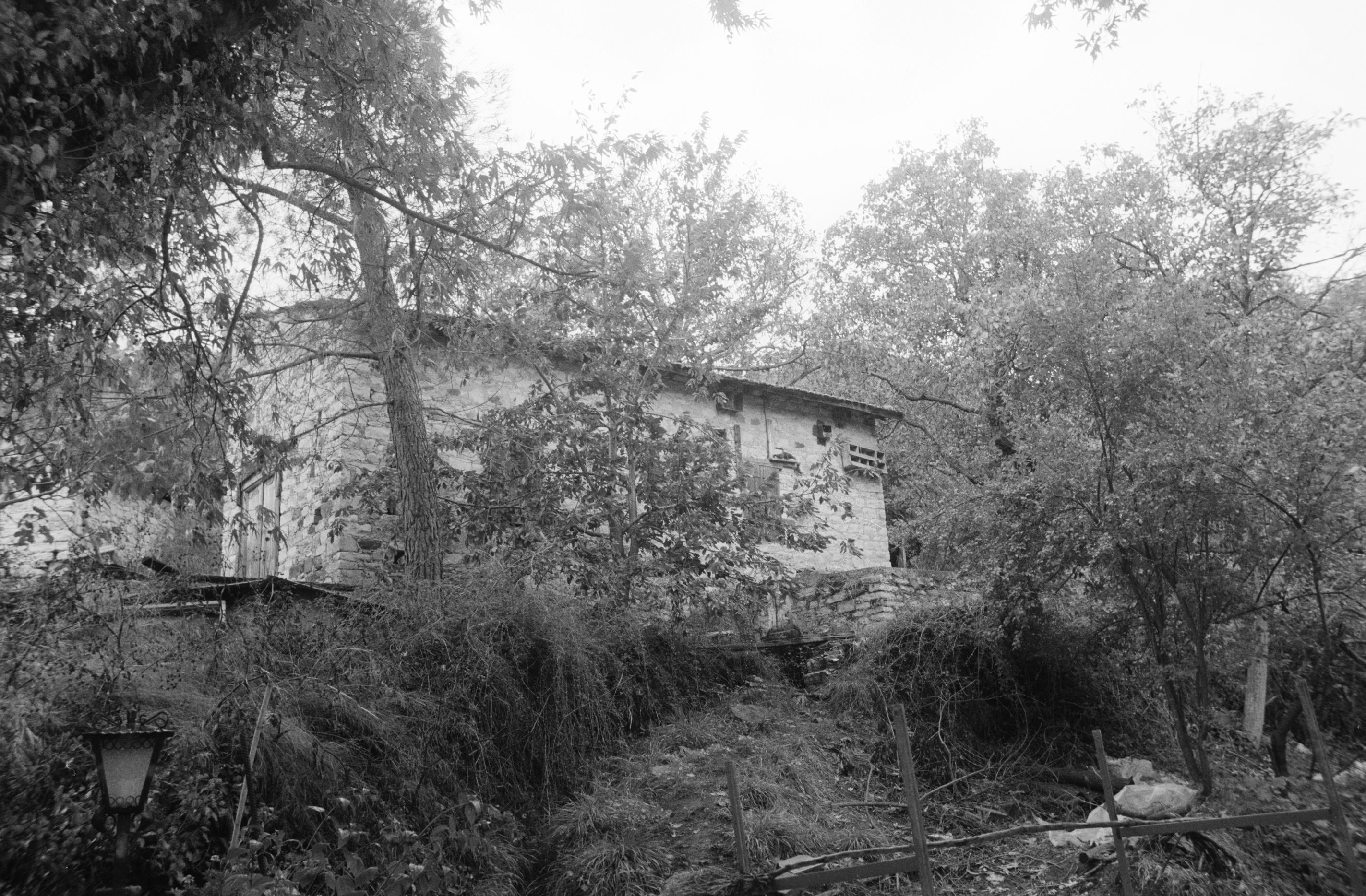 Image Description
