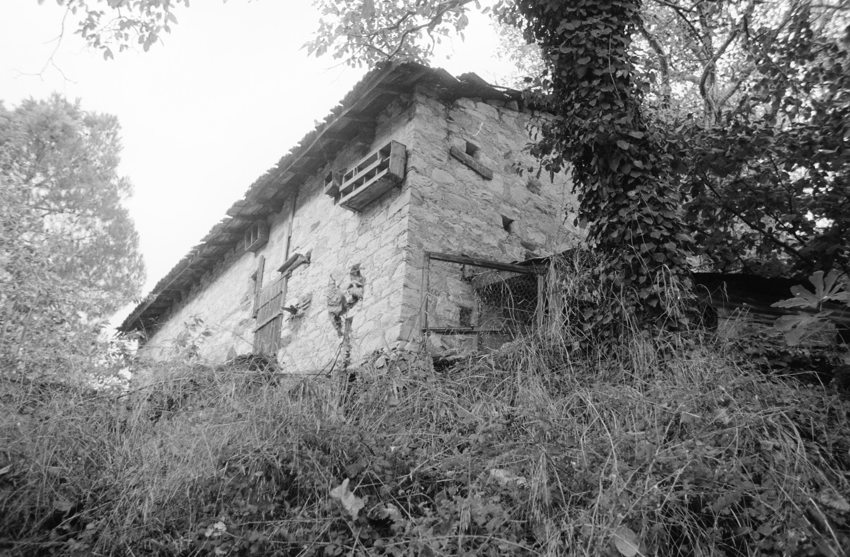 Image Description
