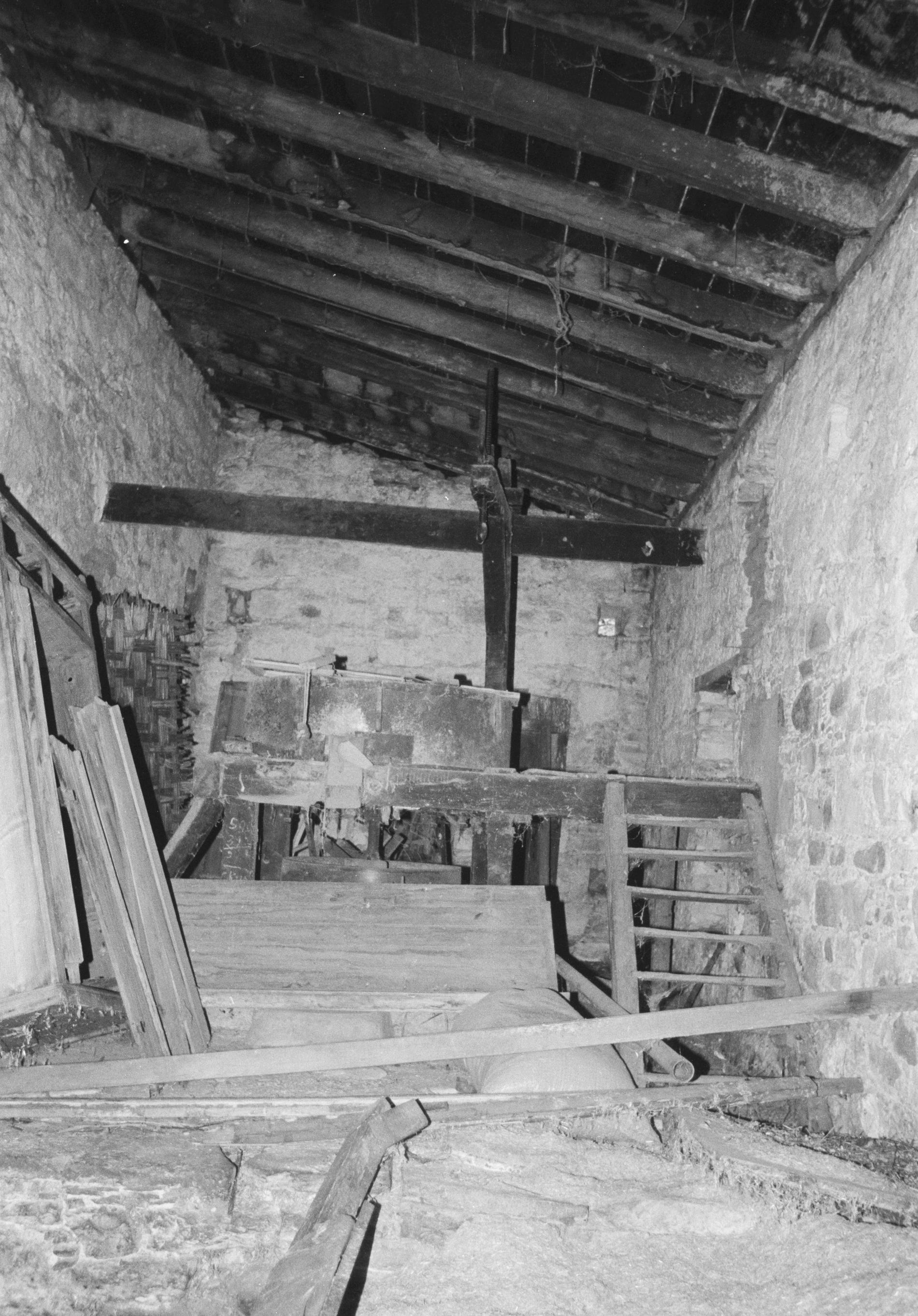 Image Description