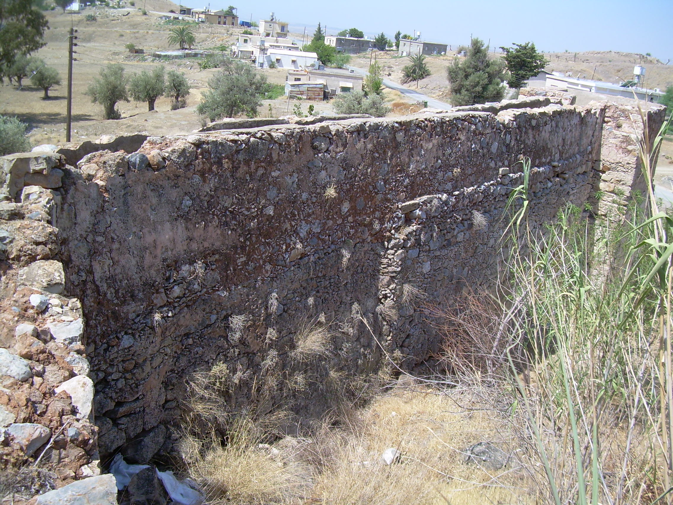 Image Description
