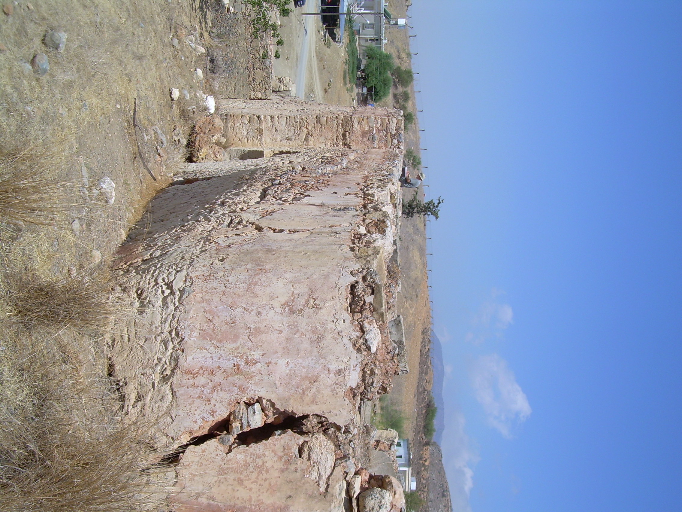 Image Description