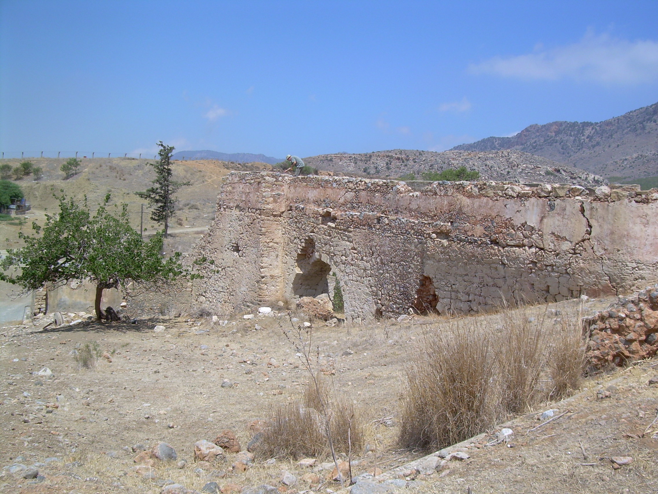 Image Description