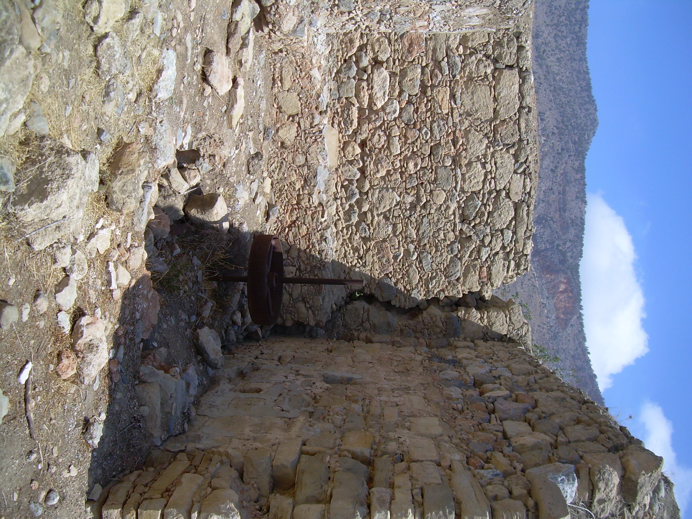 Image Description
