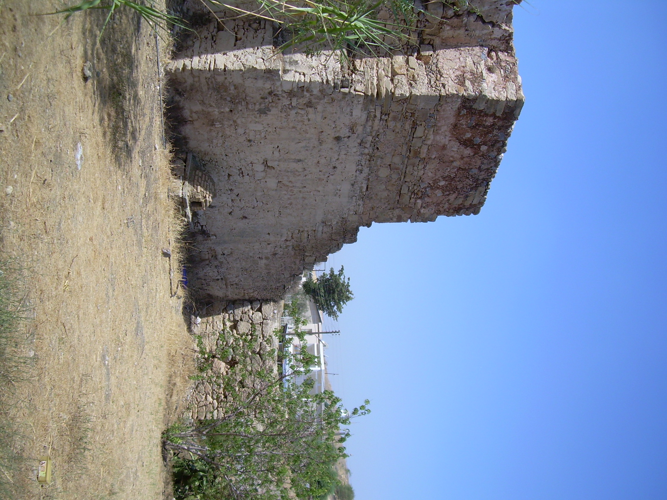 Image Description
