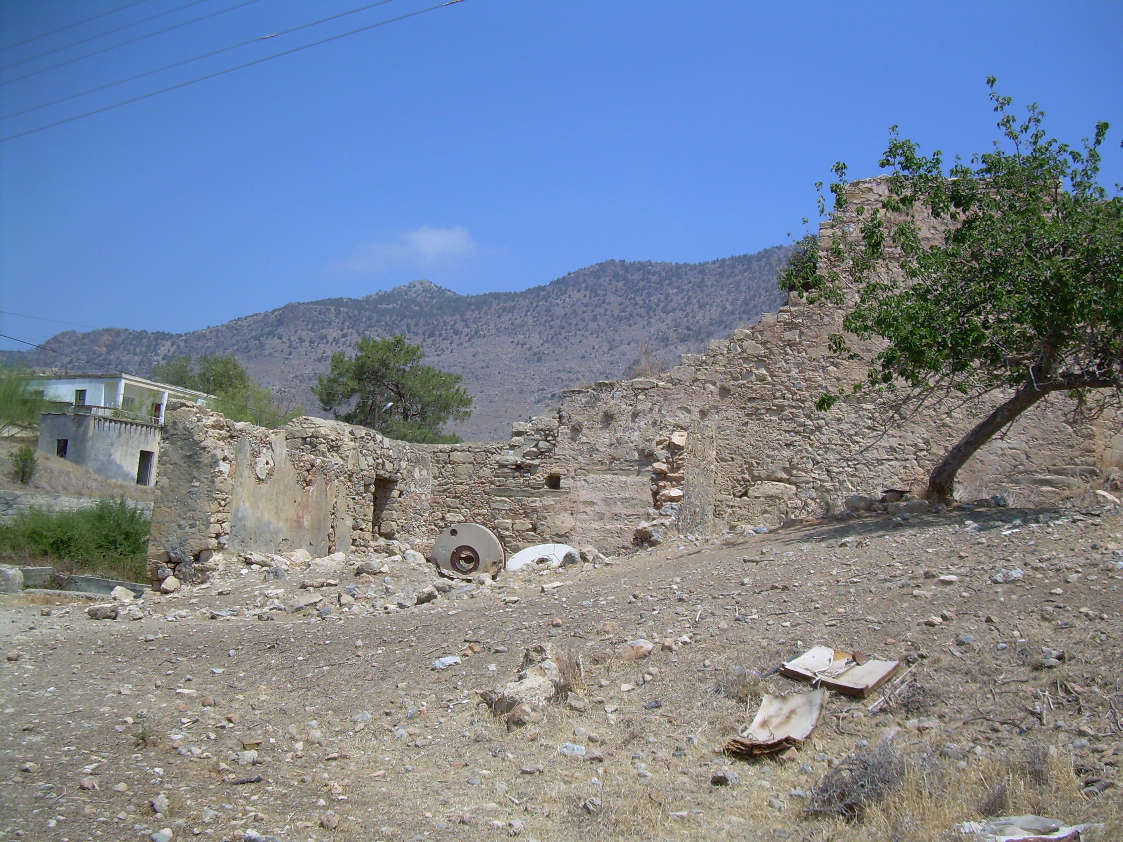 Image Description