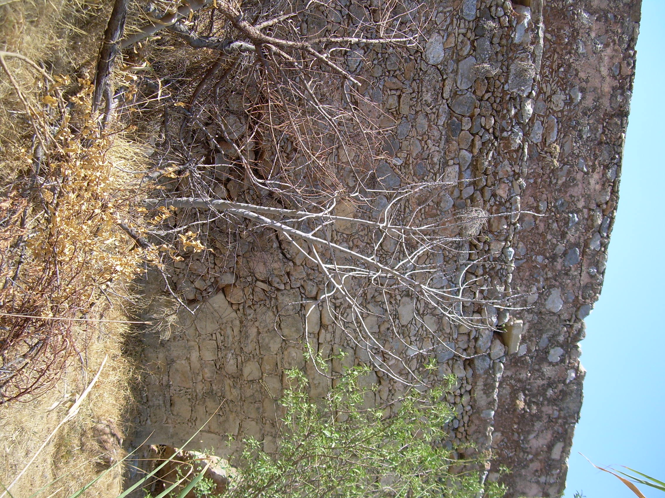 Image Description