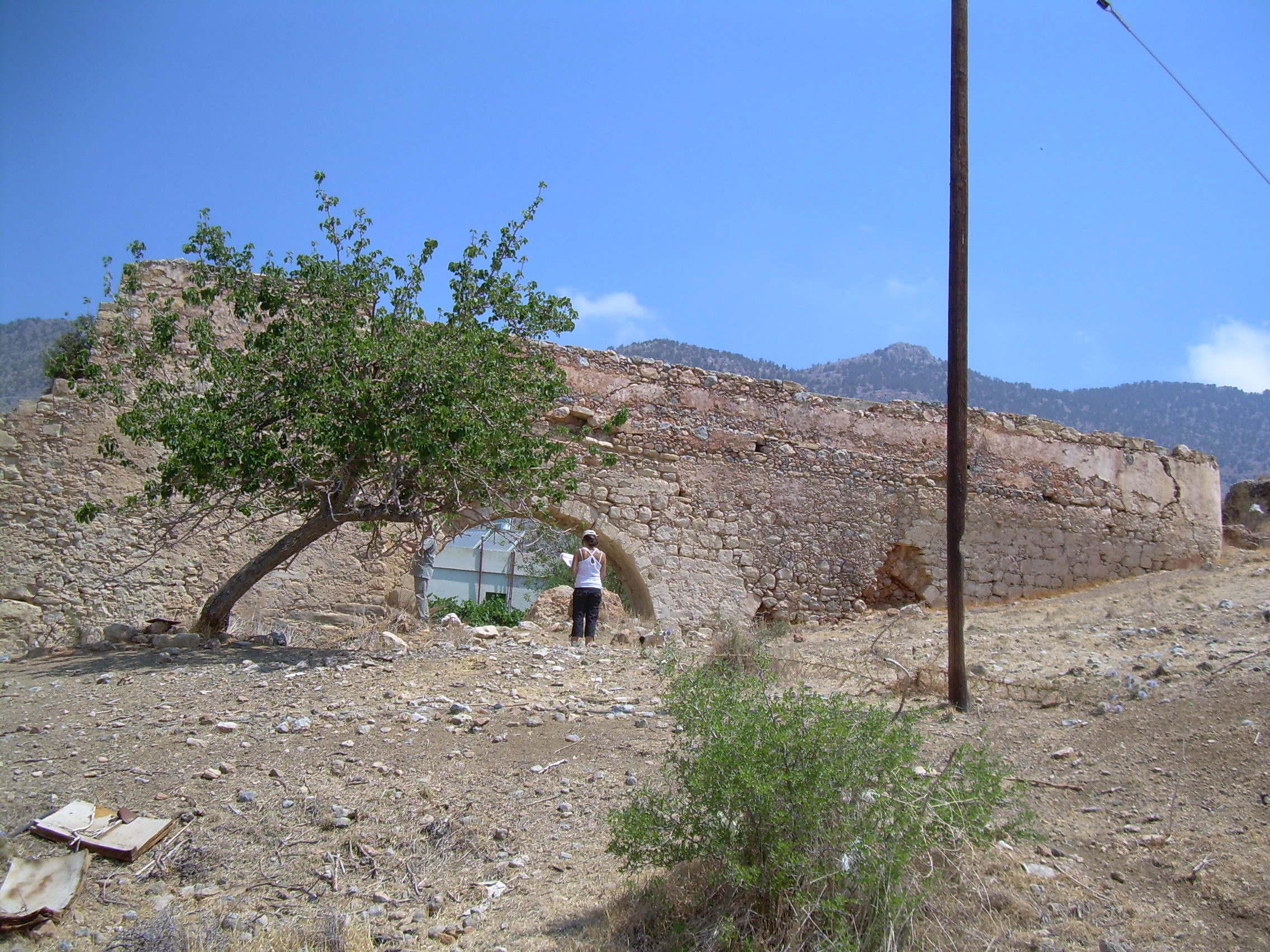 Image Description