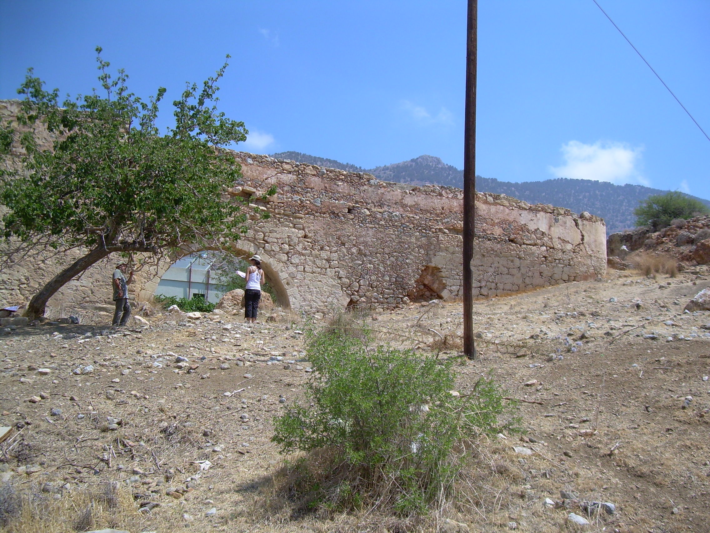 Image Description