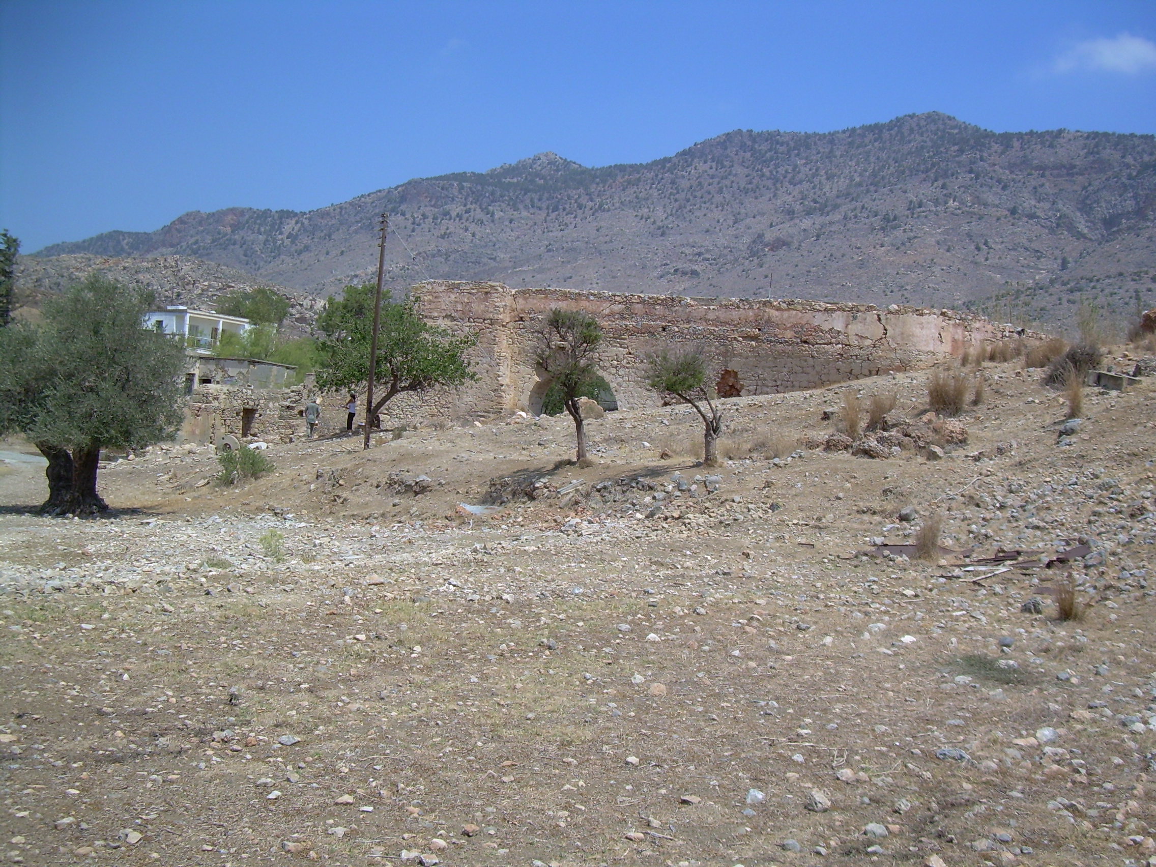 Image Description