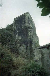 Image Description