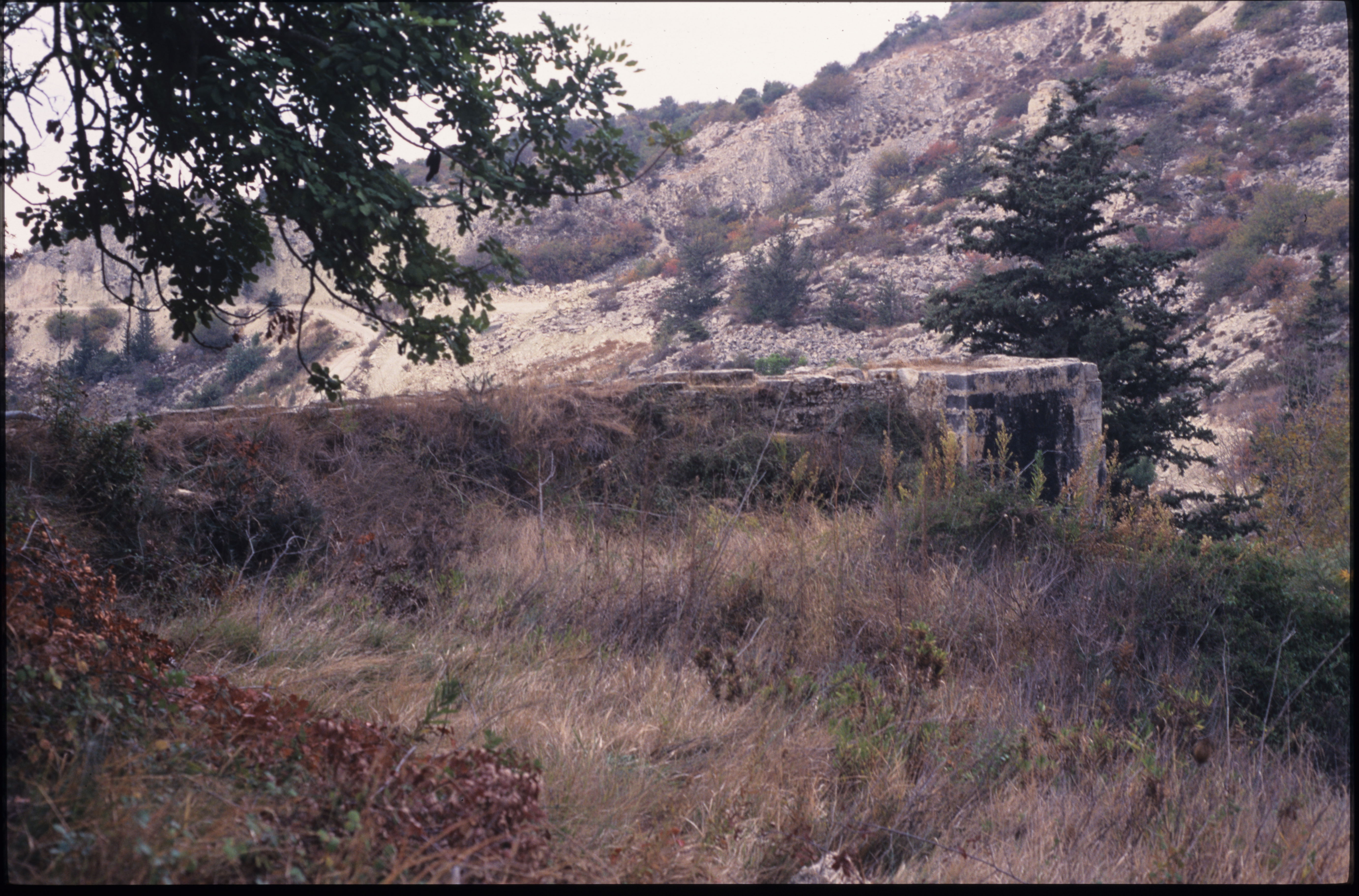 Image Description