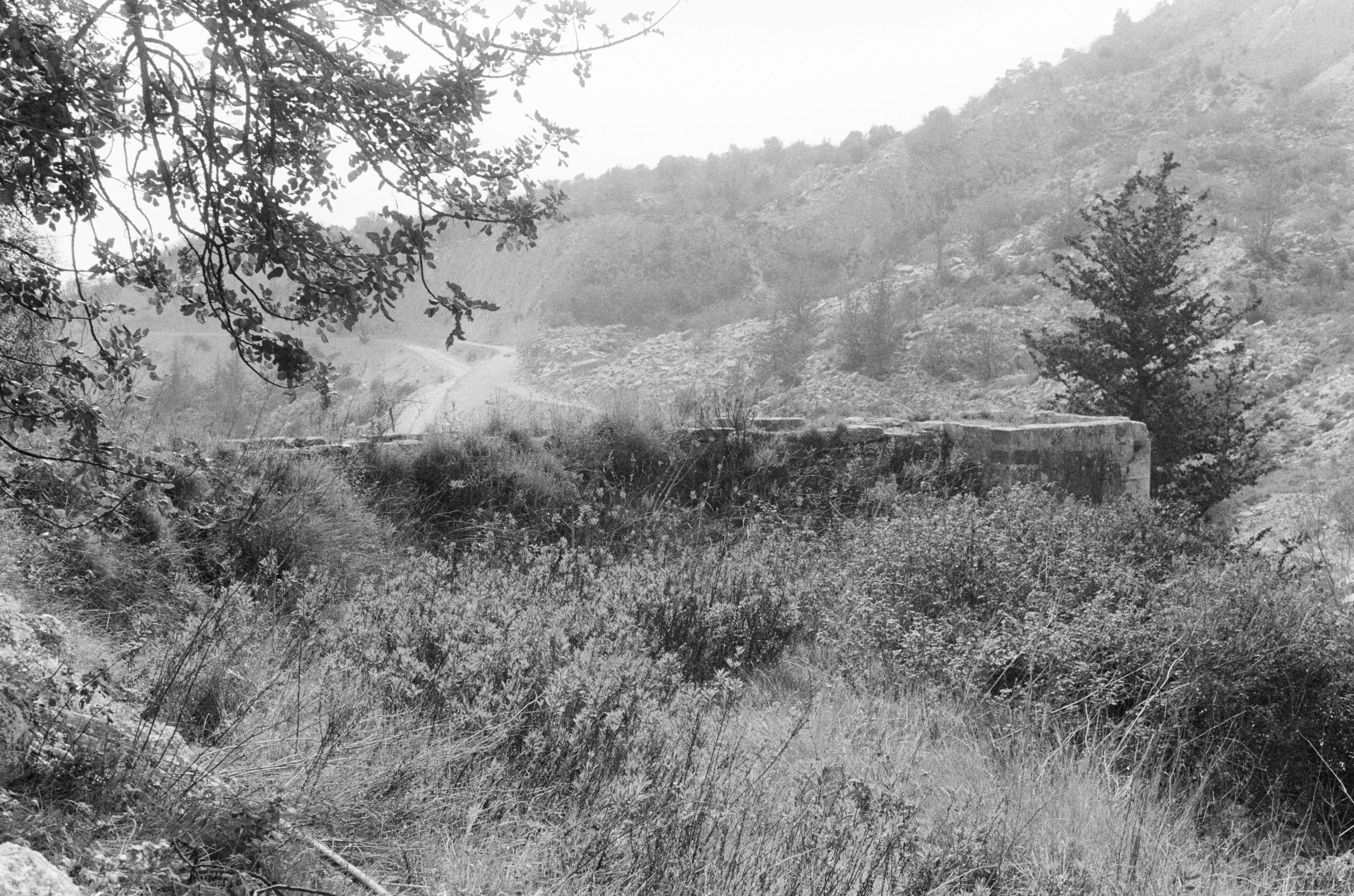 Image Description