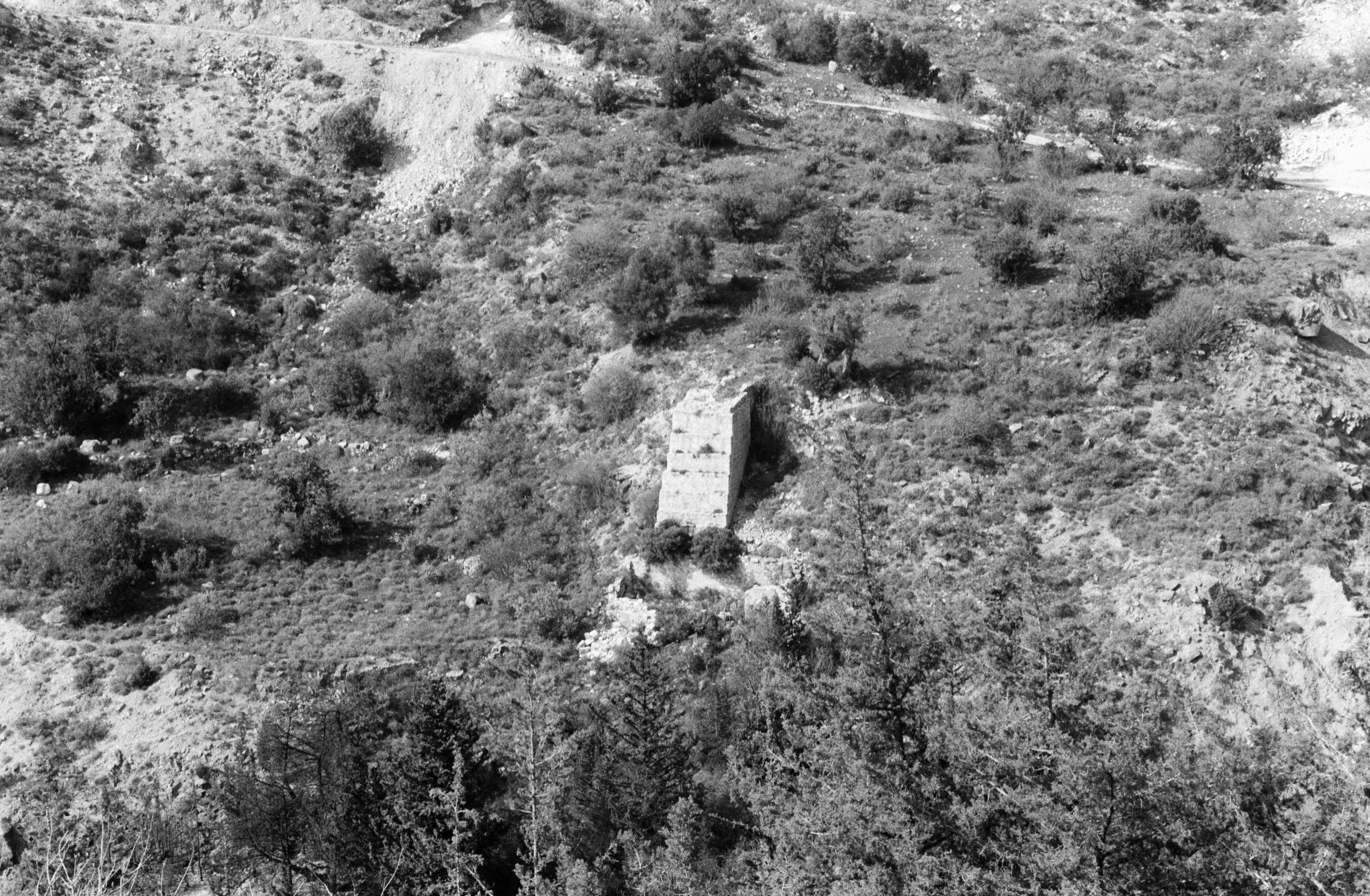Image Description