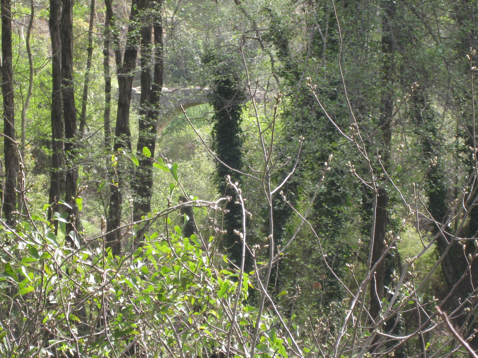 Image Description