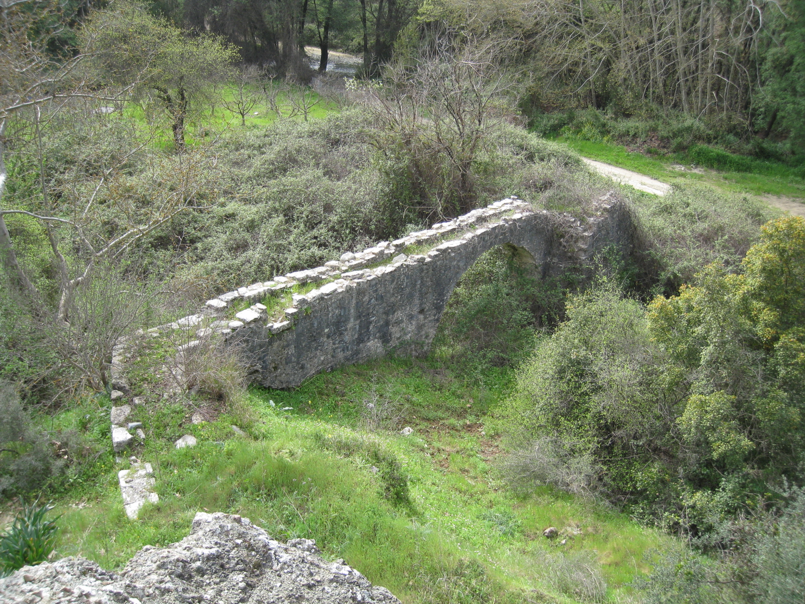 Image Description