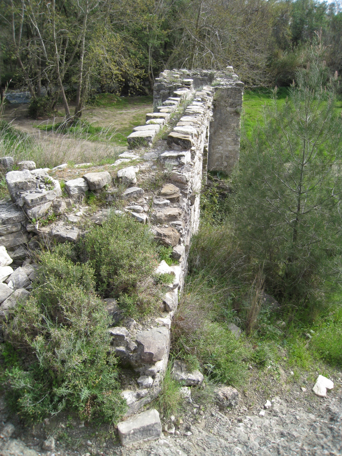 Image Description