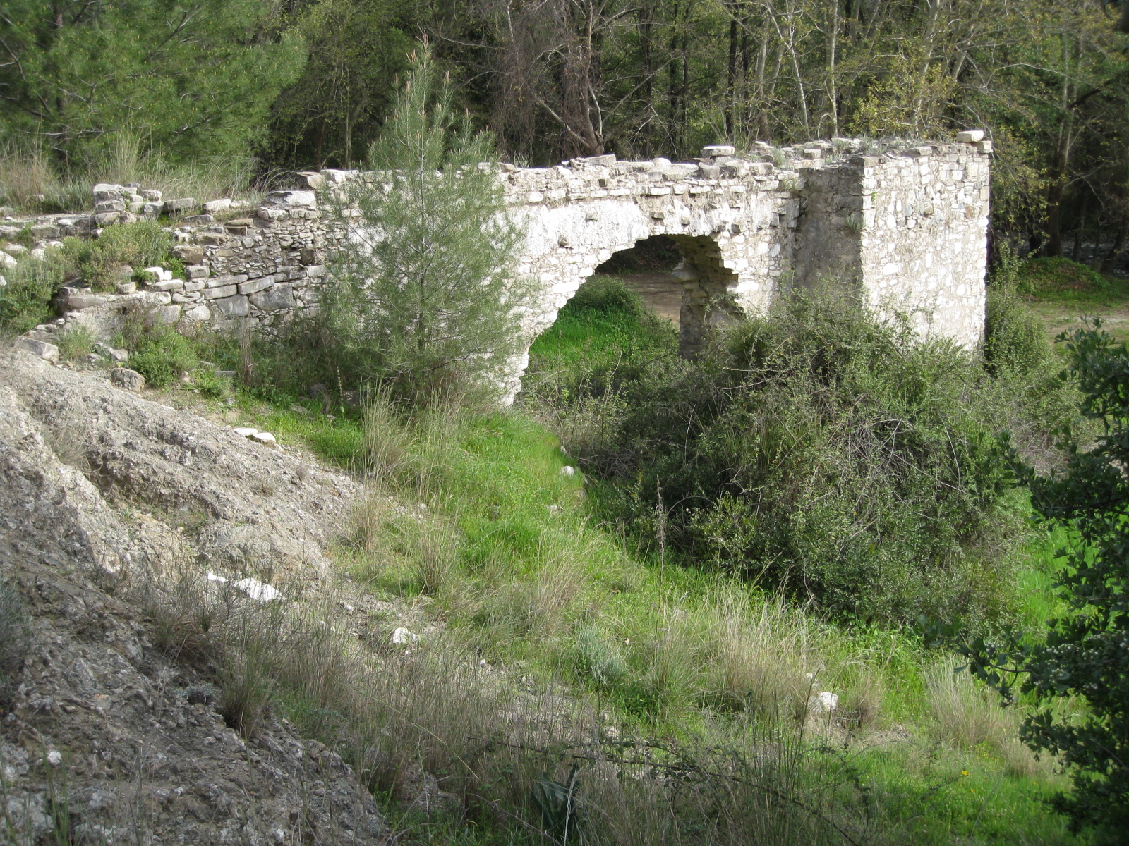 Image Description