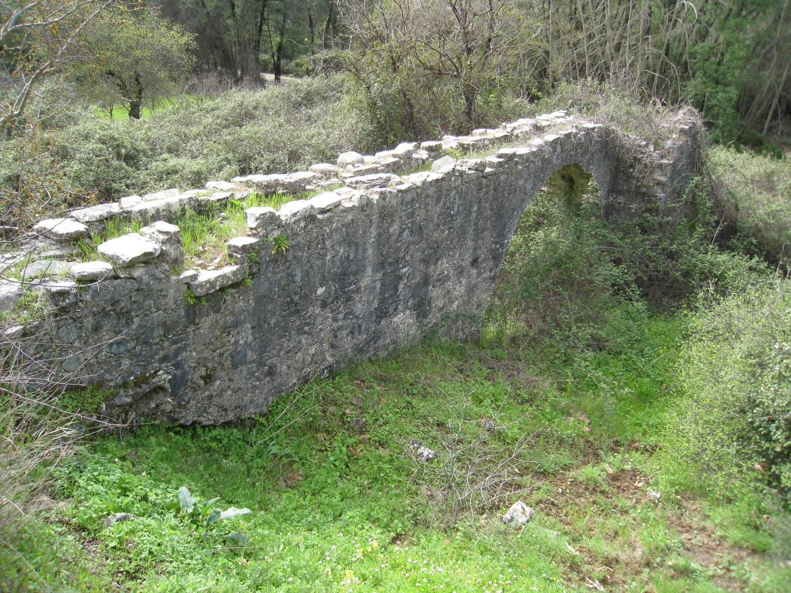 Image Description