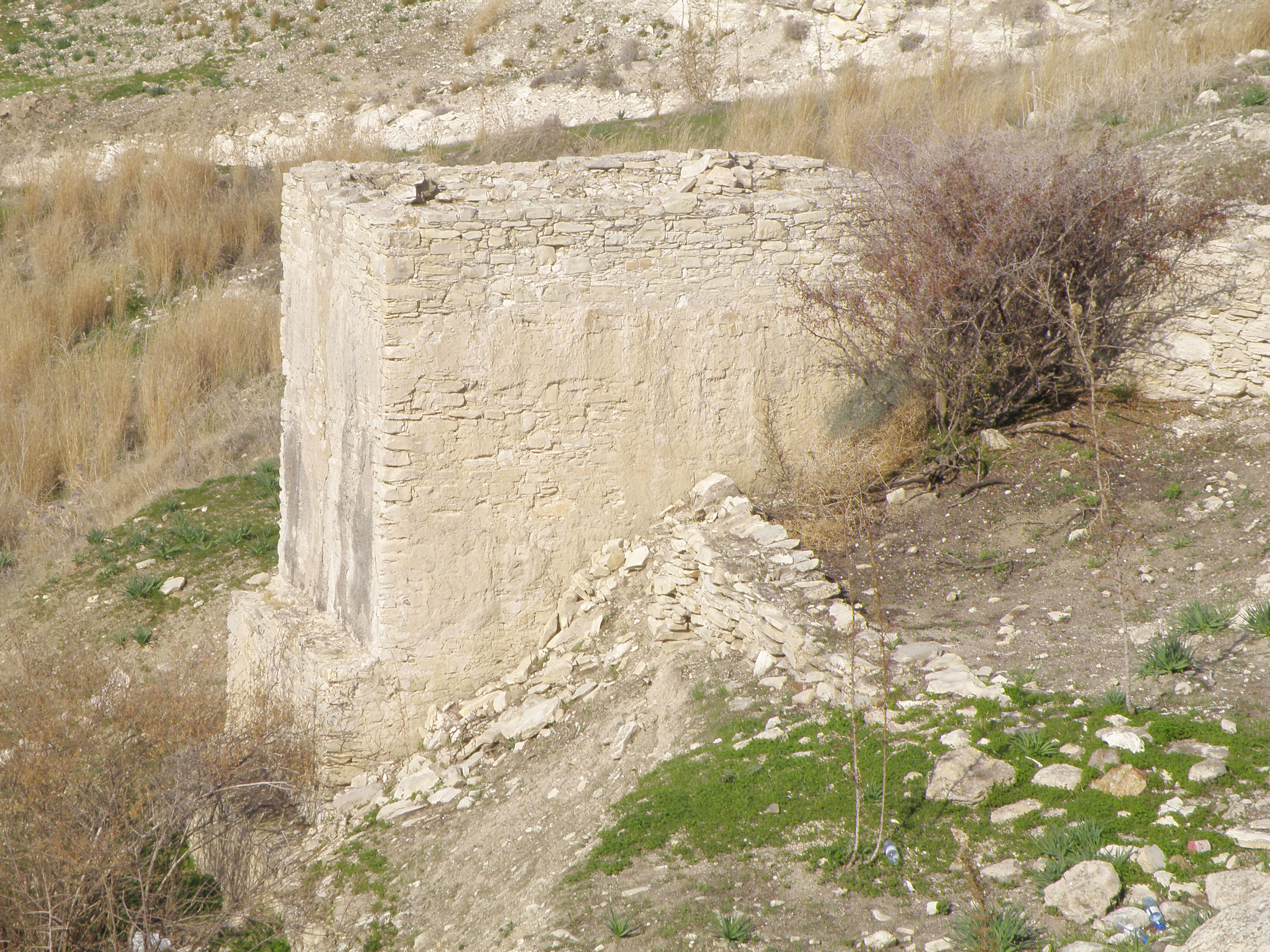 Image Description