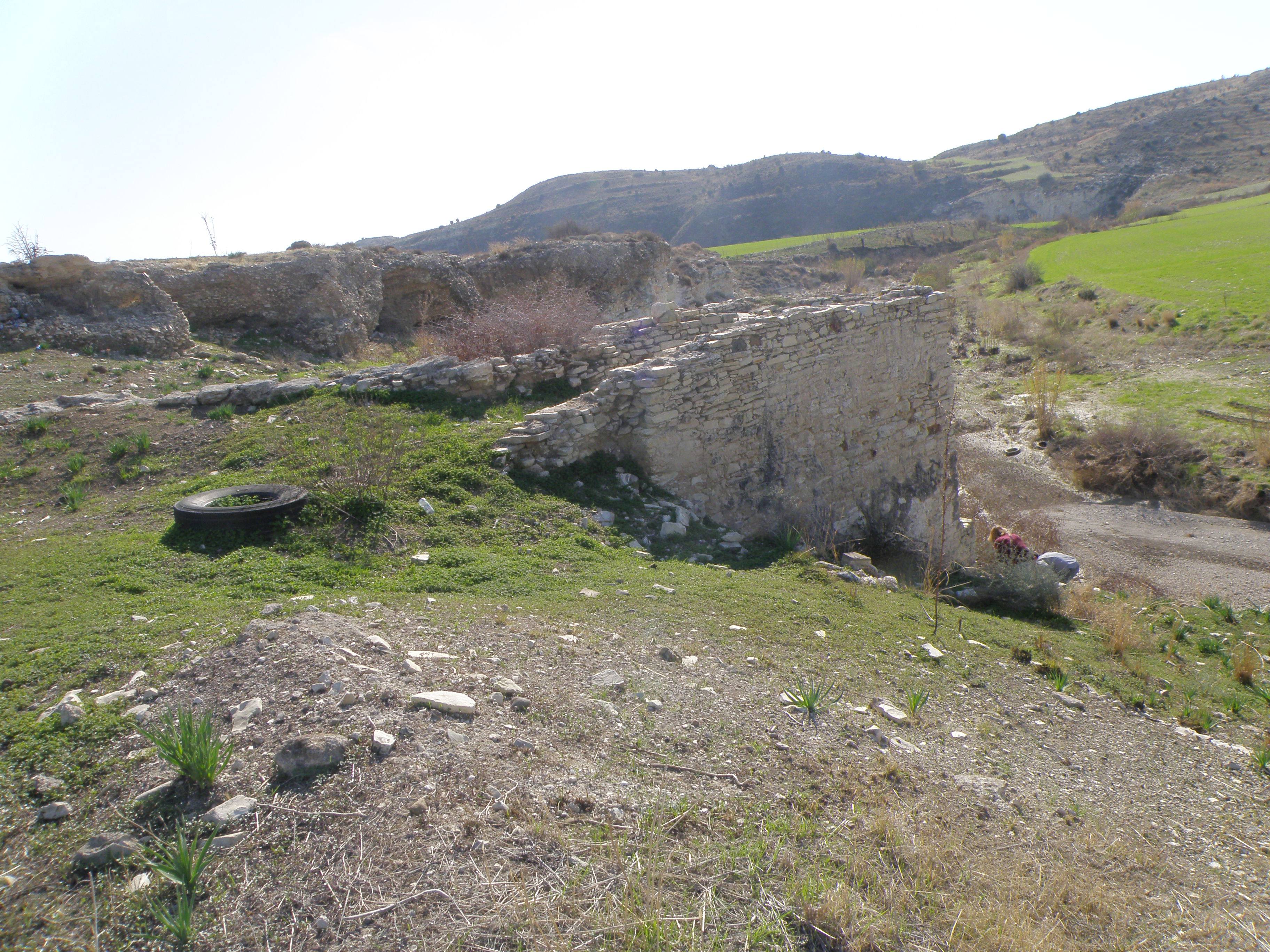 Image Description