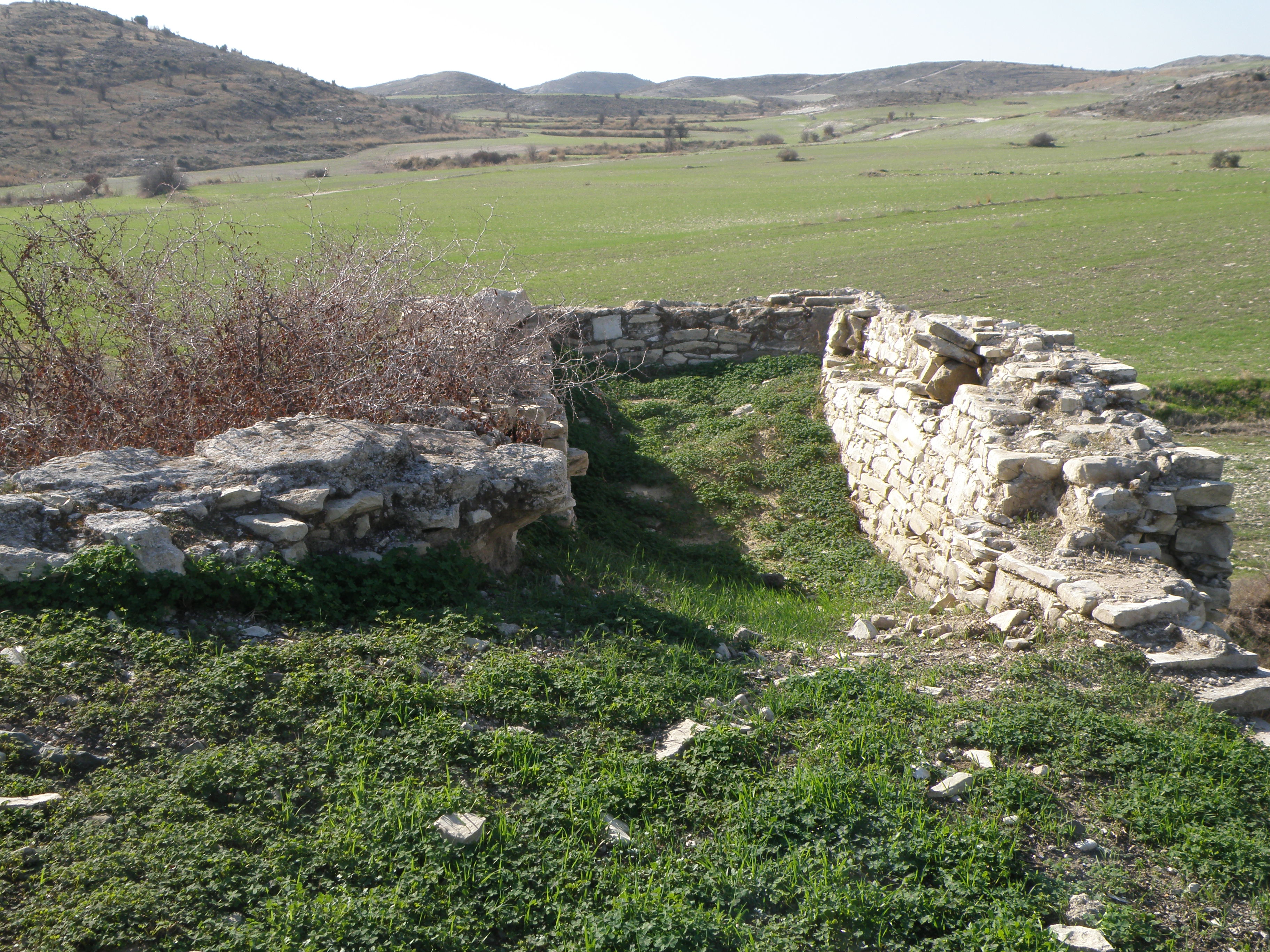 Image Description