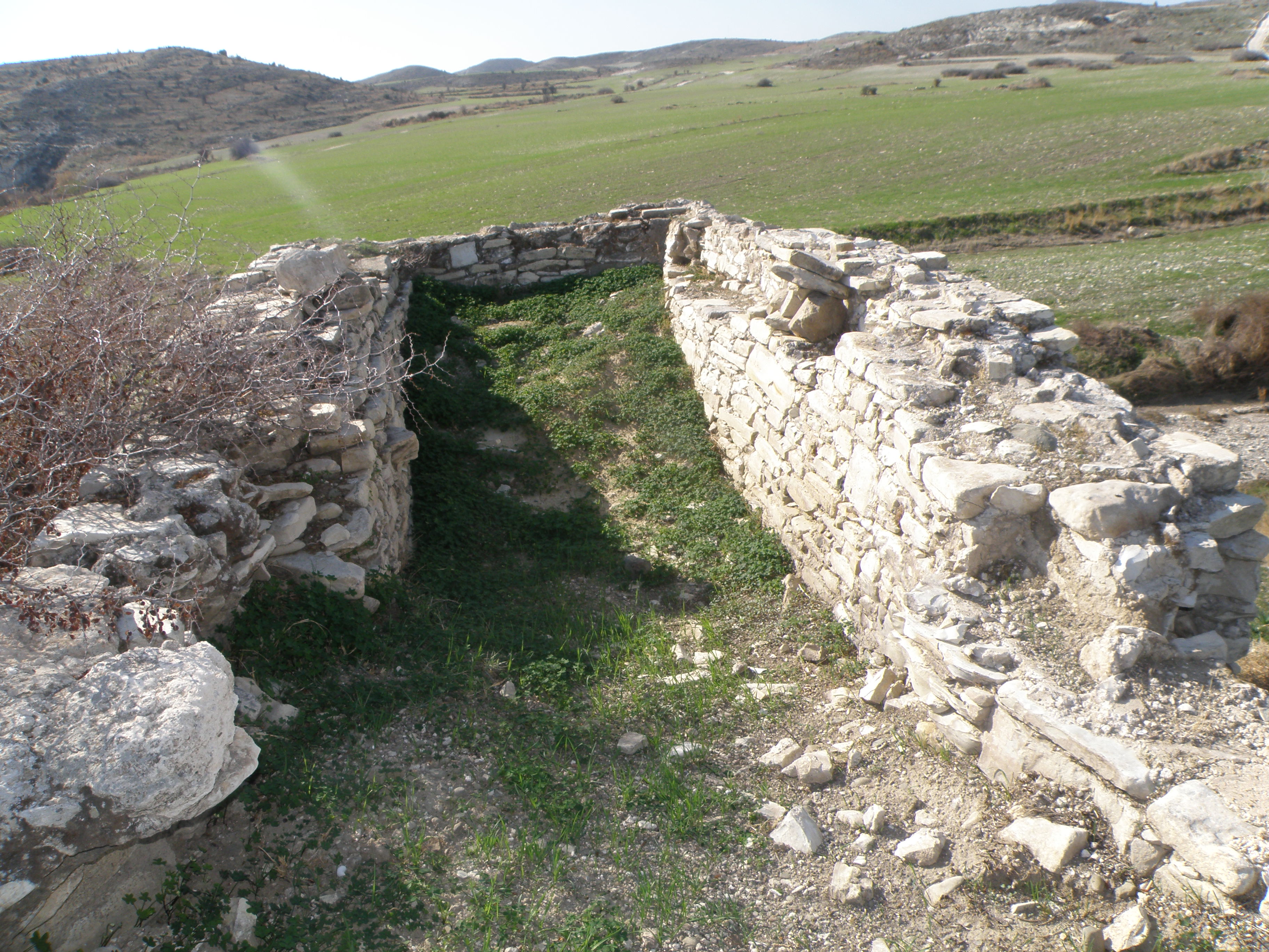 Image Description