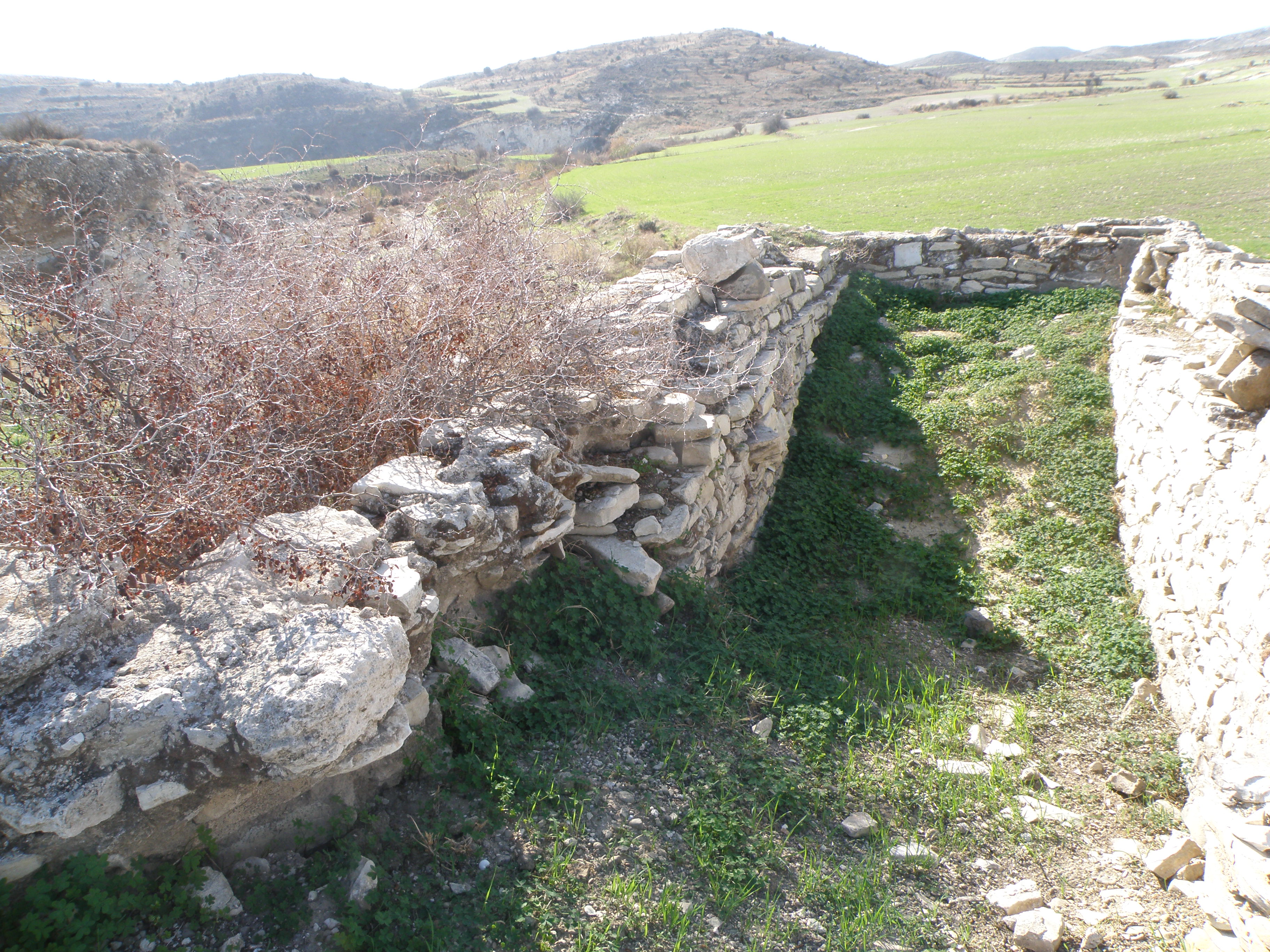 Image Description