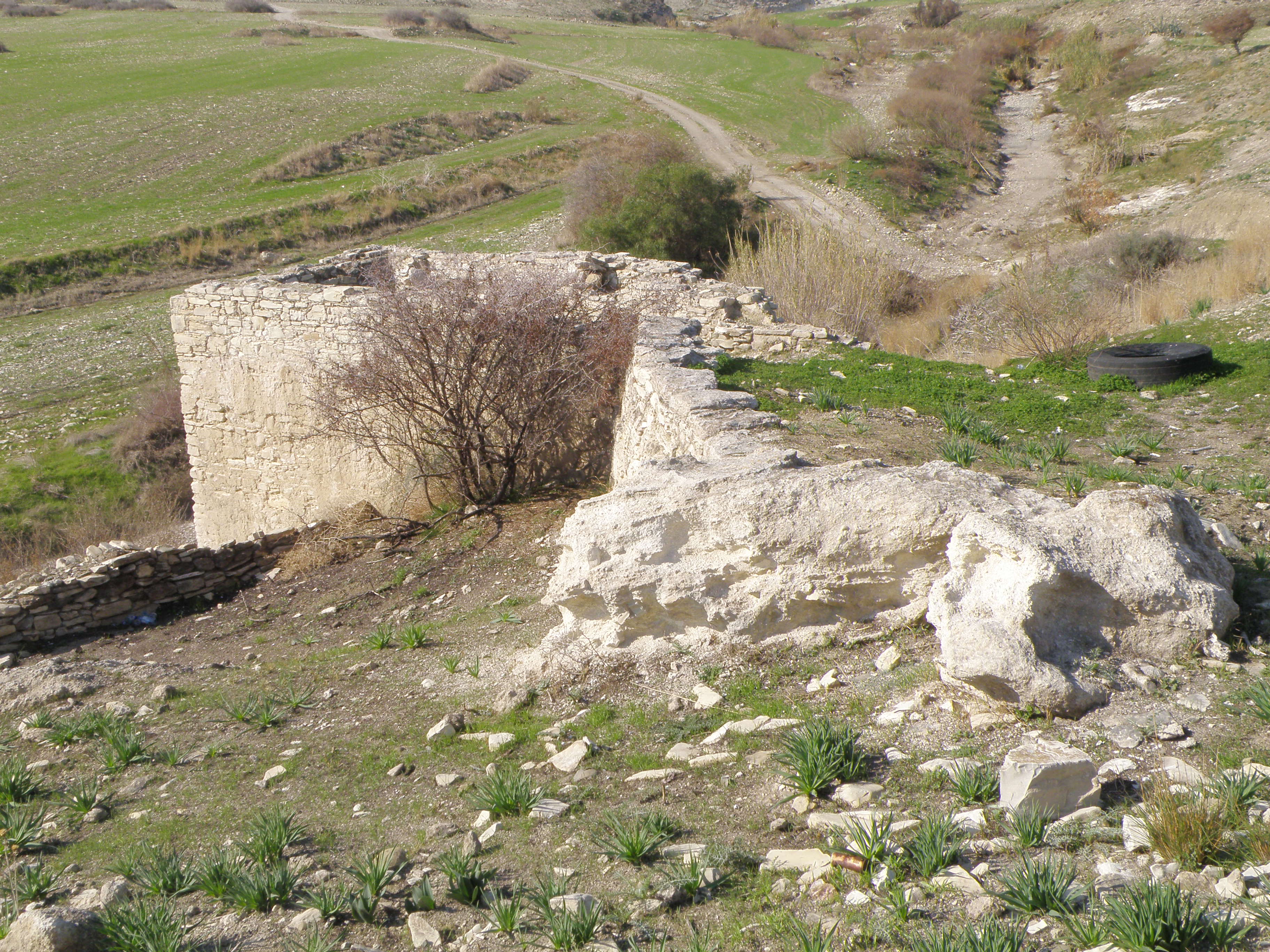 Image Description