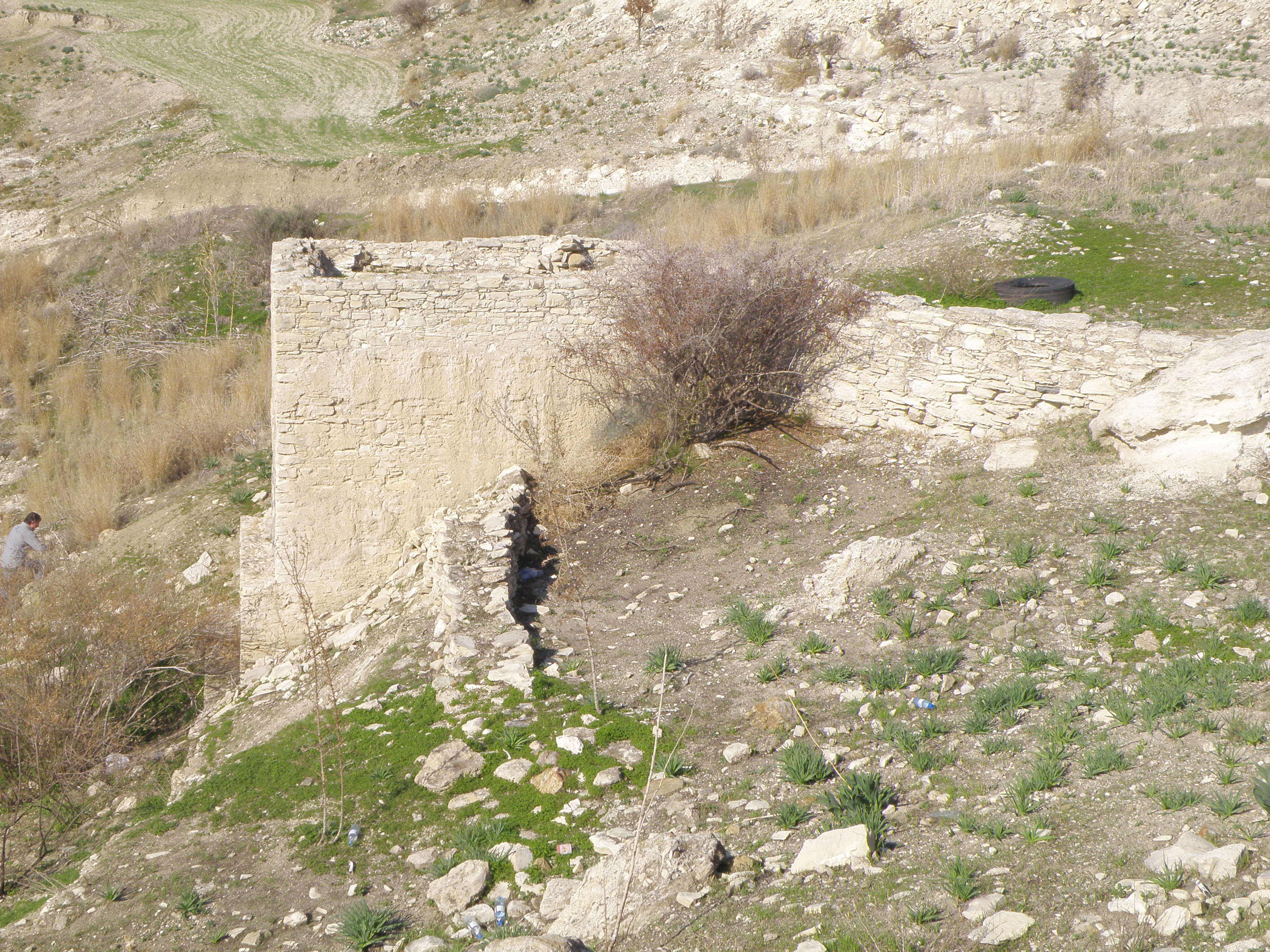 Image Description